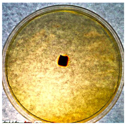 Textiles 02 00026 i007 Textiles 02 00026 i007