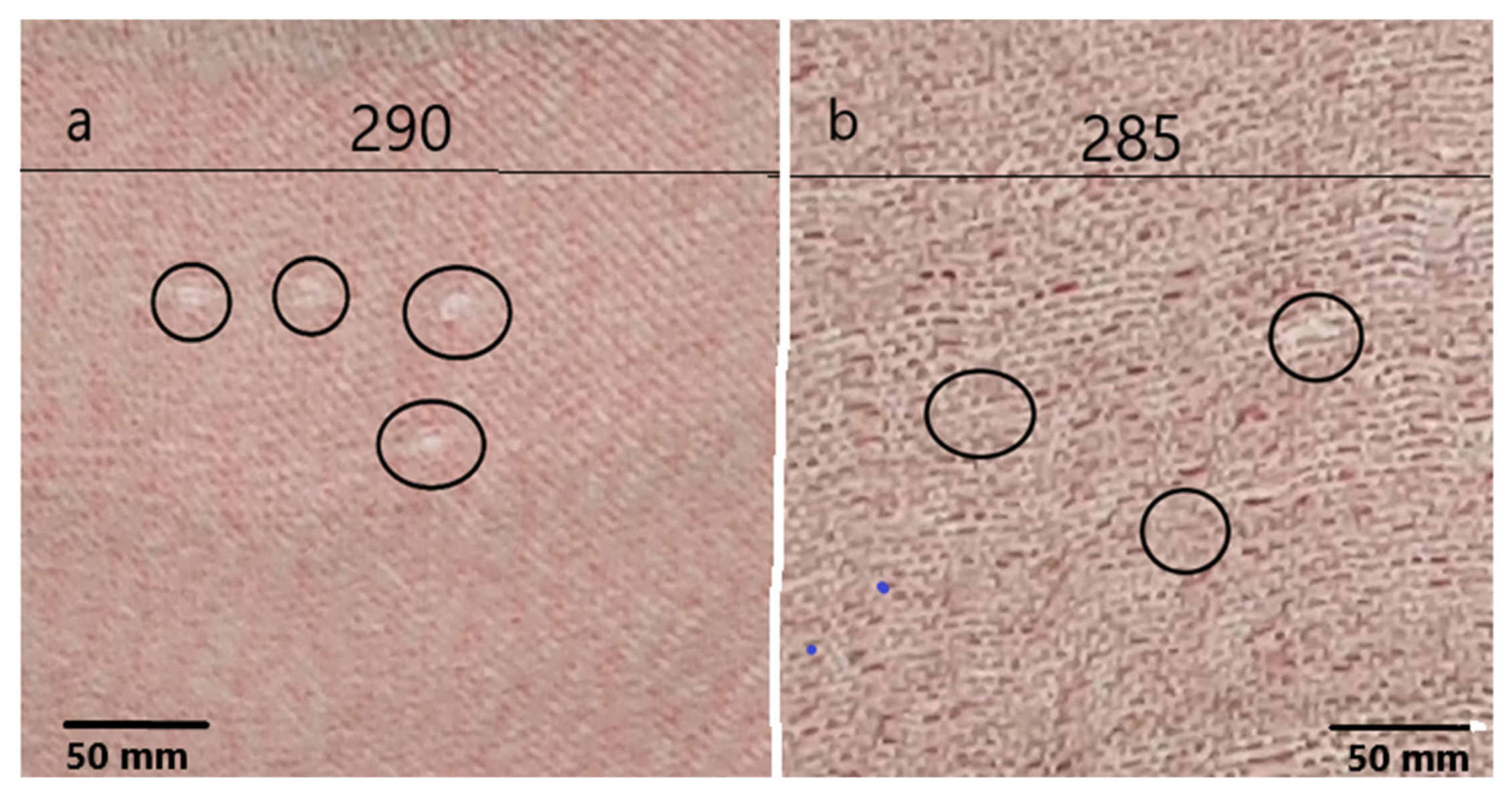 Textiles 02 00035 g014