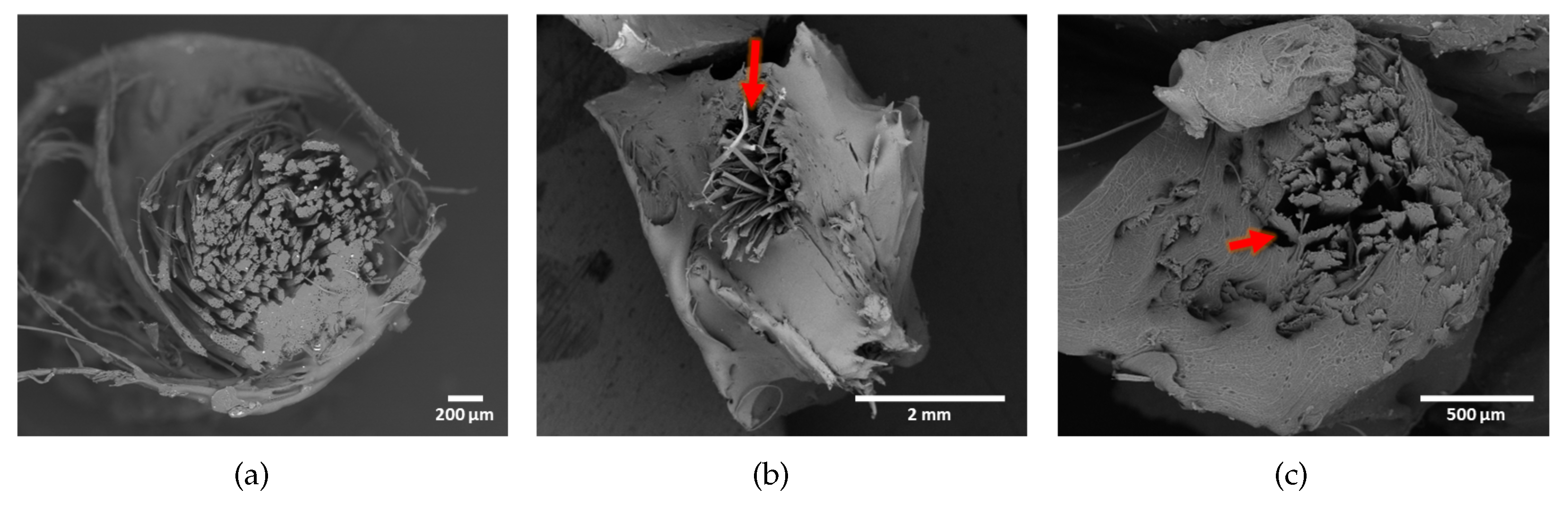 Textiles 03 00008 g007