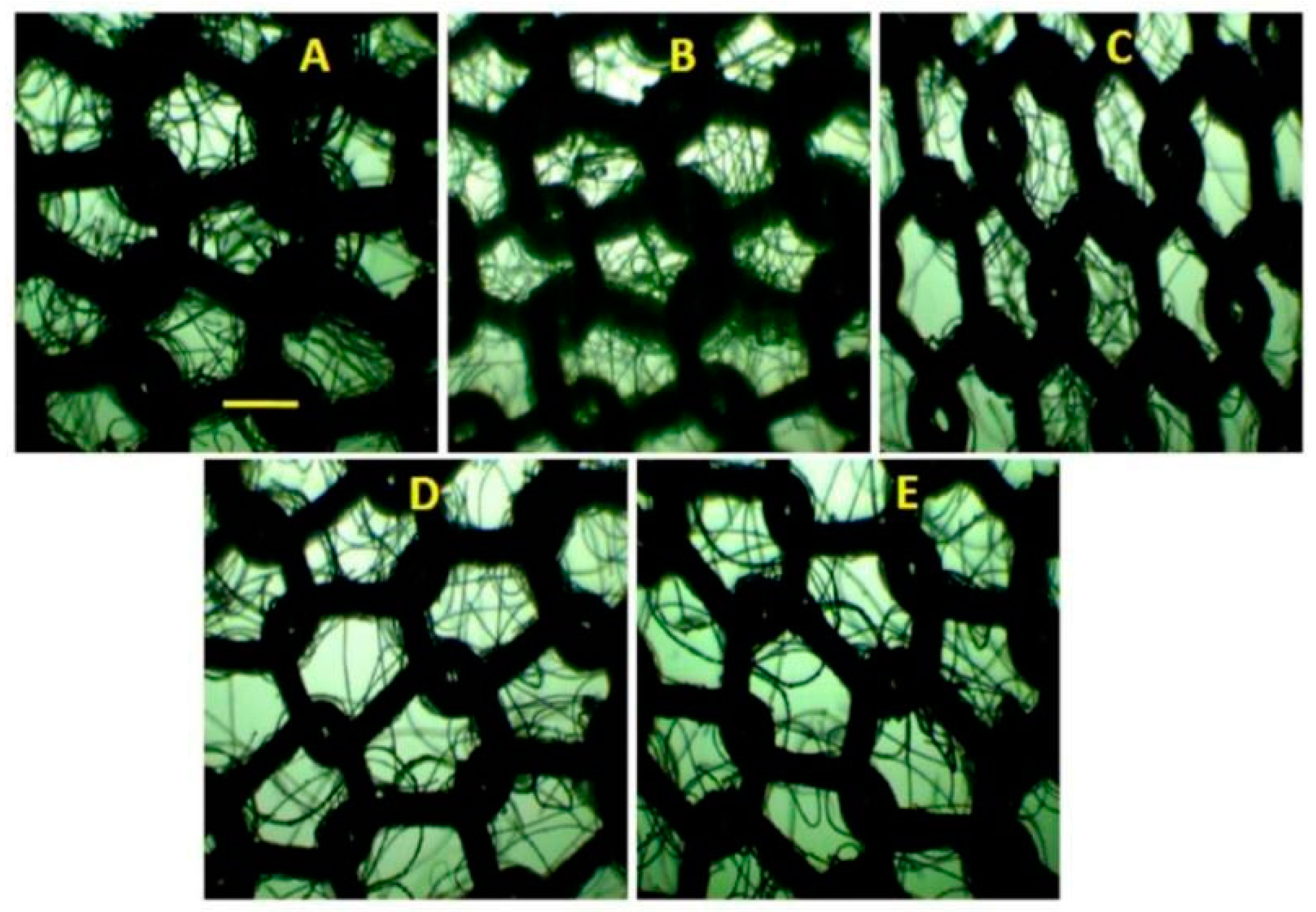 Textiles 03 00011 g003 Textiles 03 00011 g003