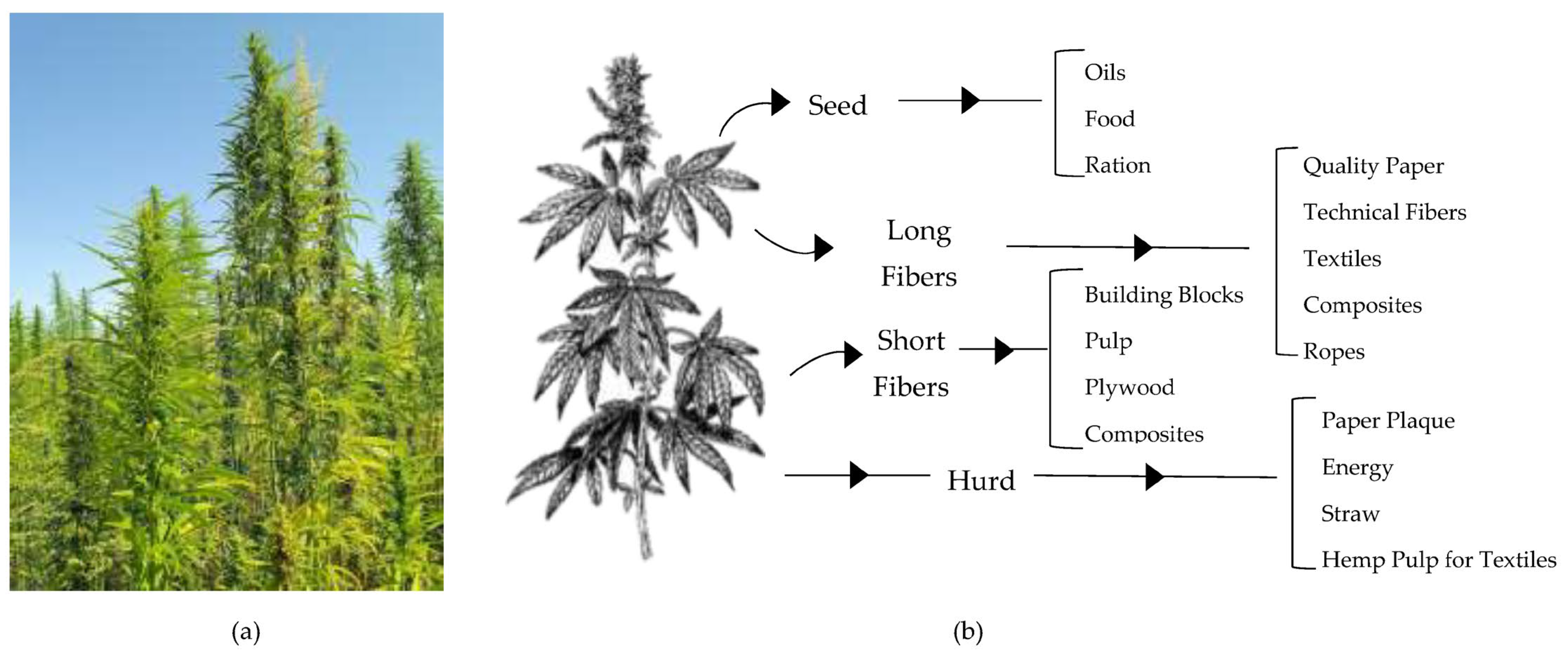 Textiles 04 00011 g001
