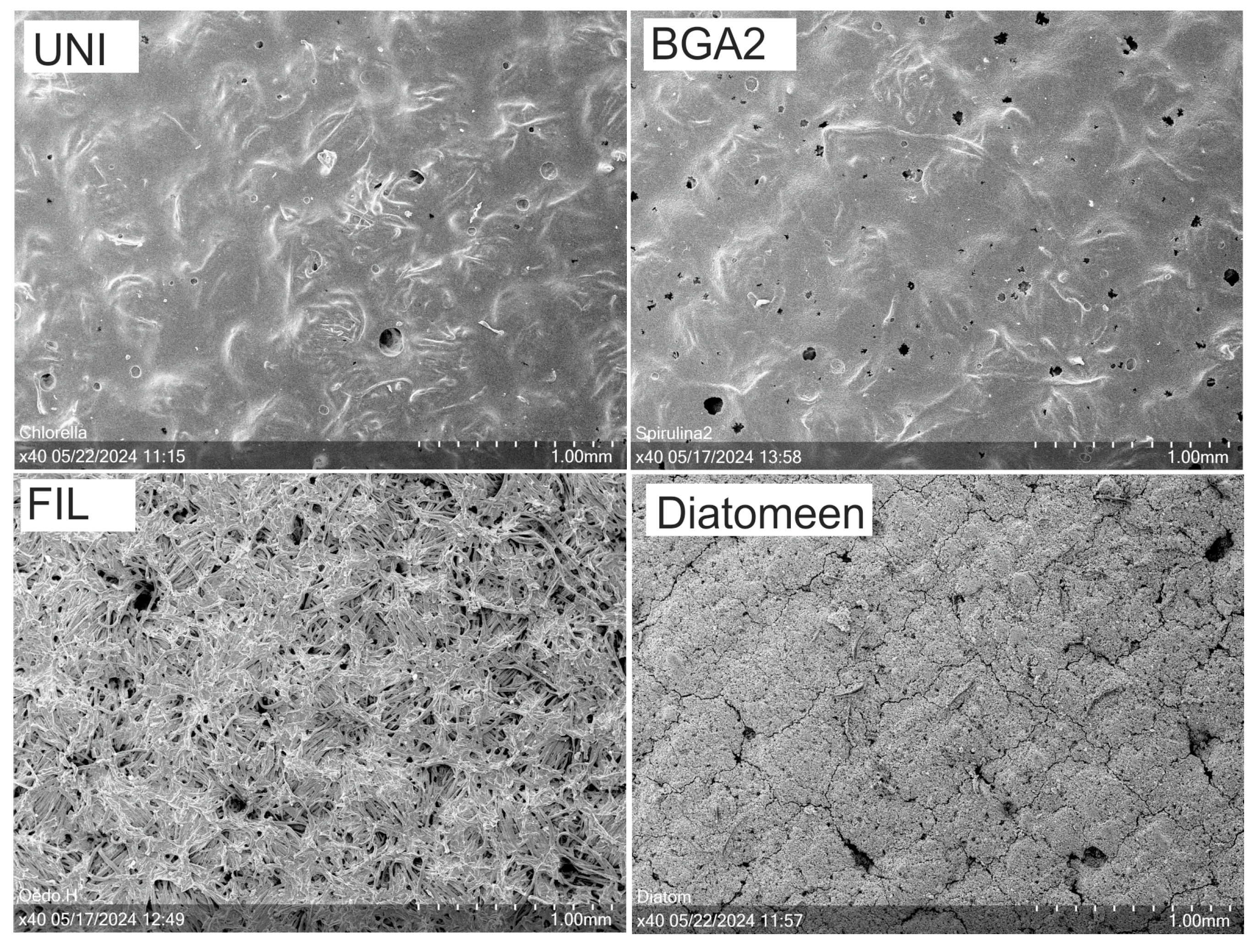 Textiles 05 00003 g005