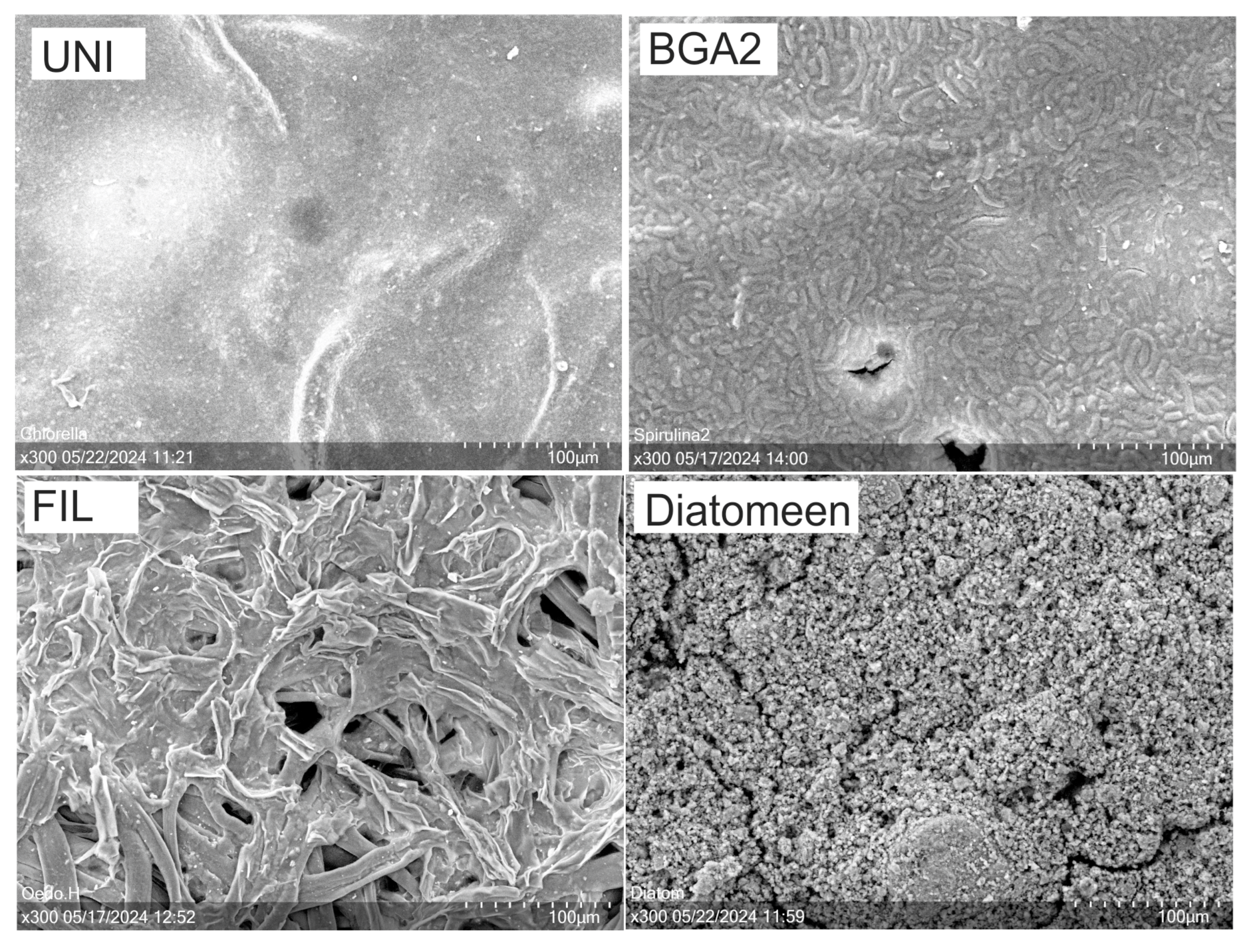 Textiles 05 00003 g006