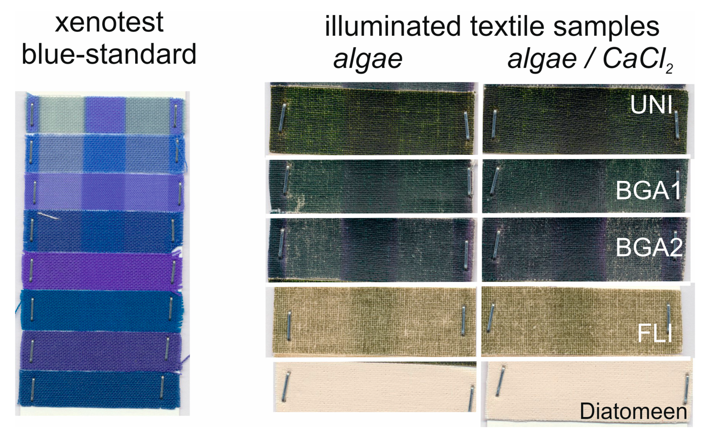 Textiles 05 00003 g011