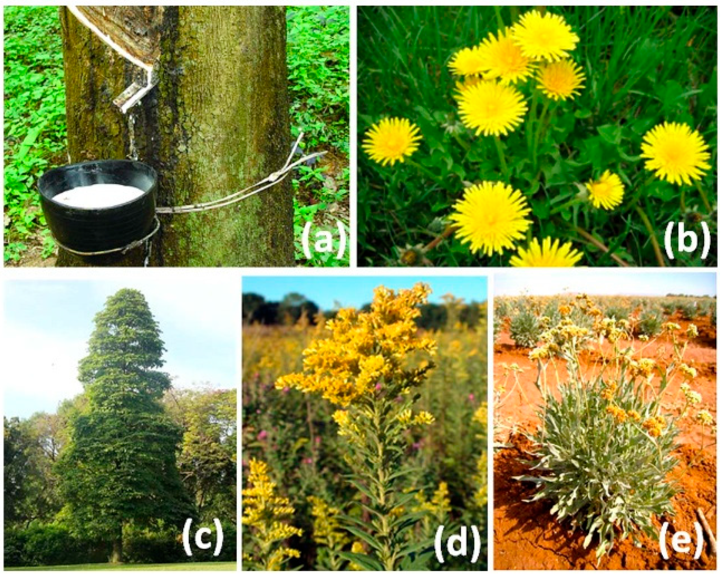 Textiles 05 00017 g001