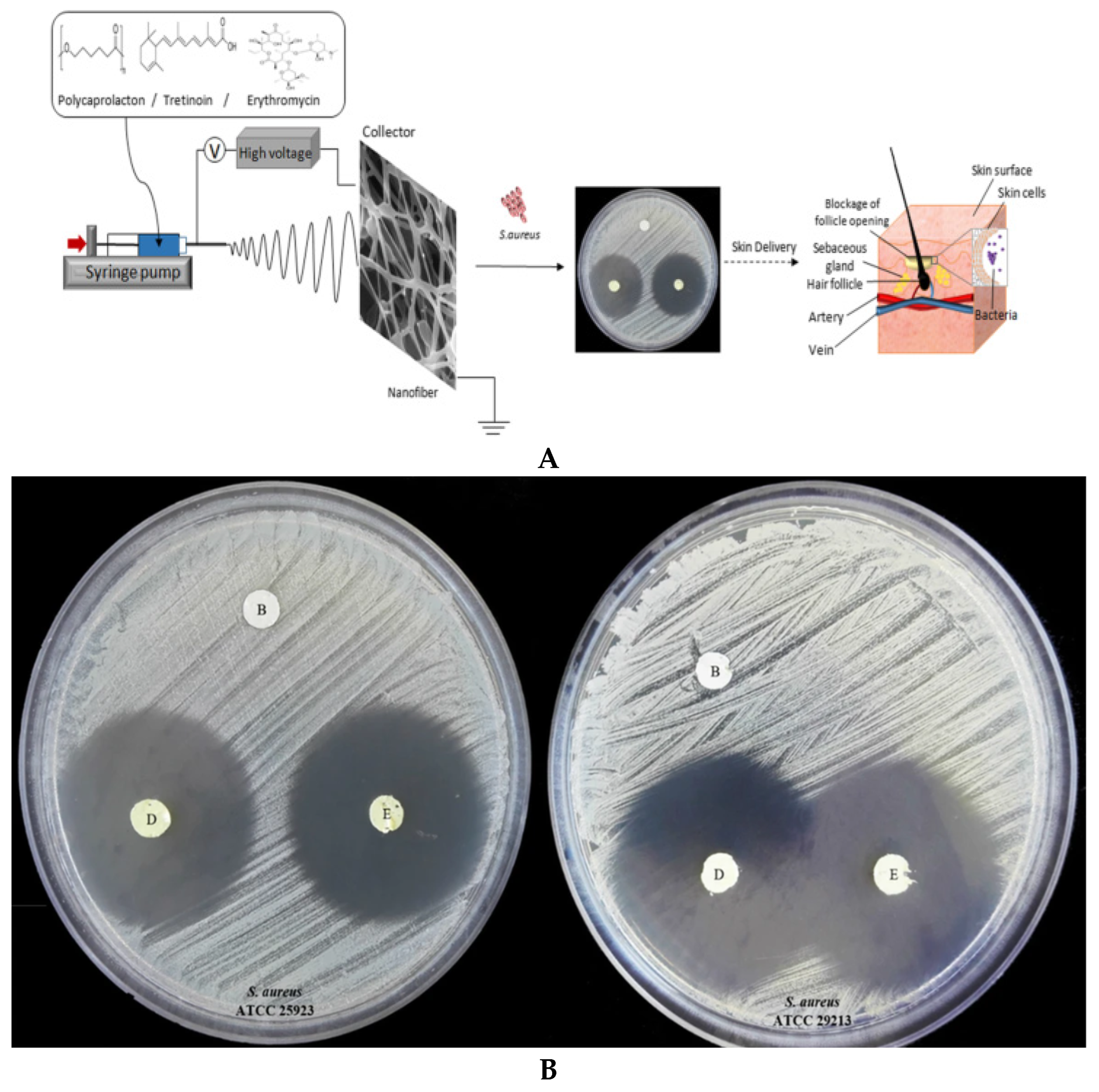 Textiles 05 00019 g010