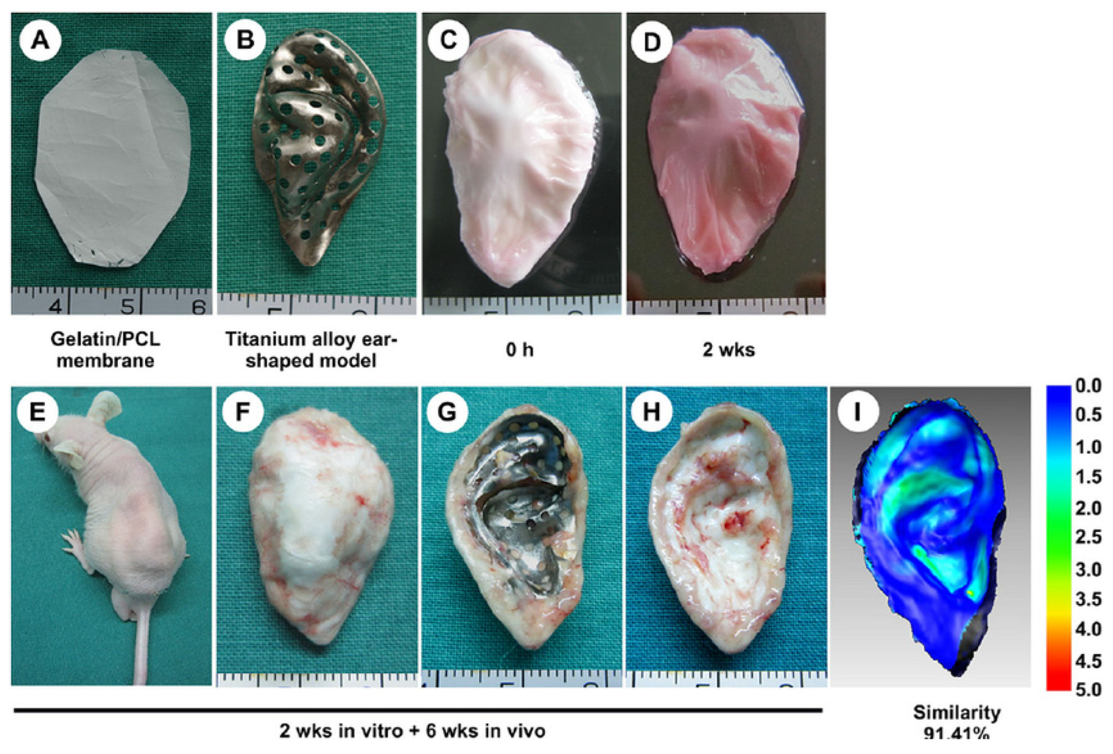 Textiles 05 00019 g014