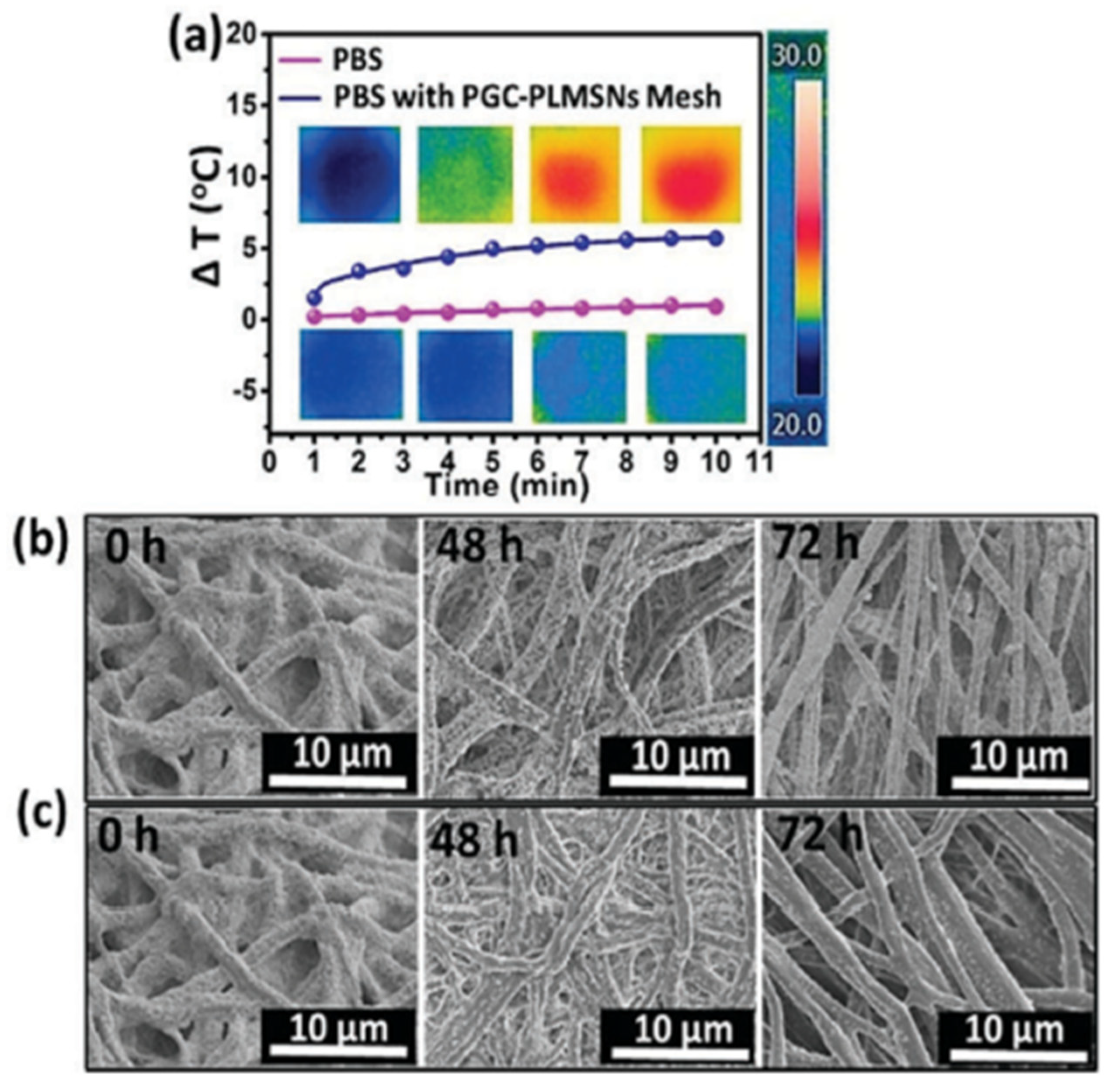 Textiles 05 00019 g016