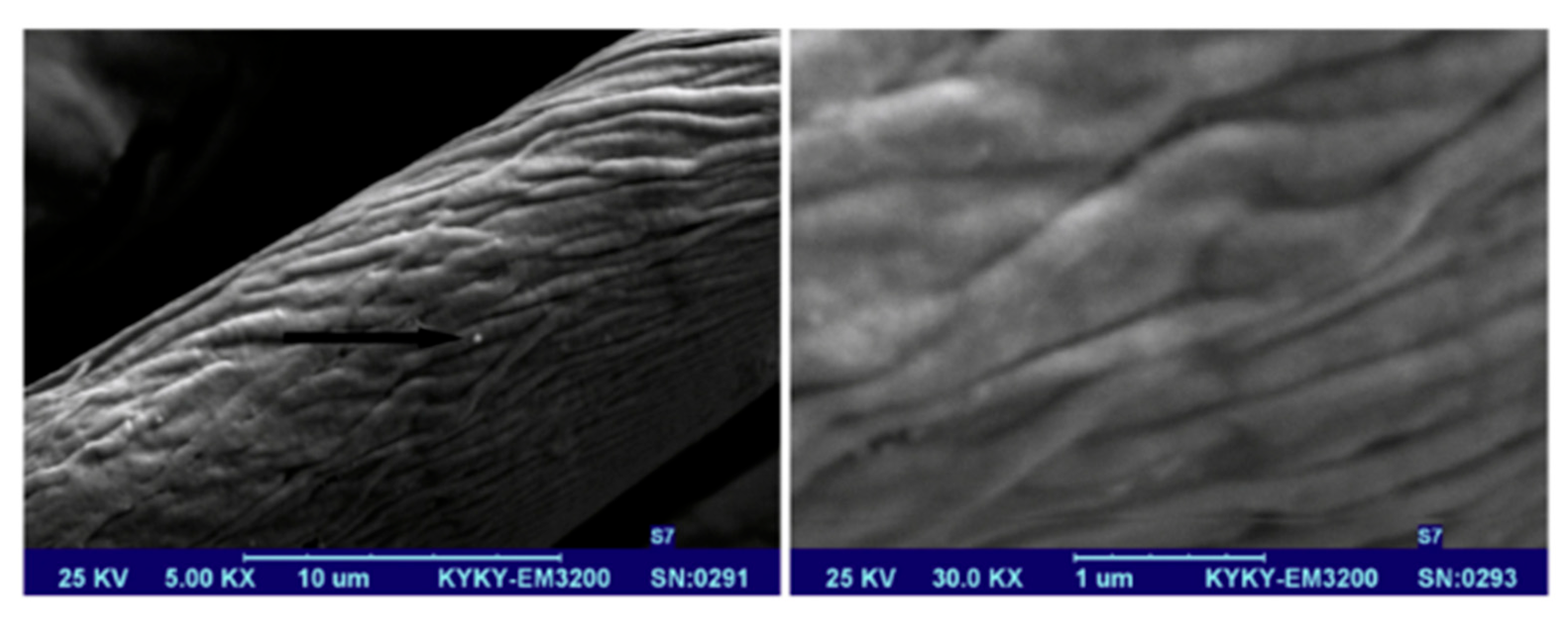 Textiles 05 00028 g011