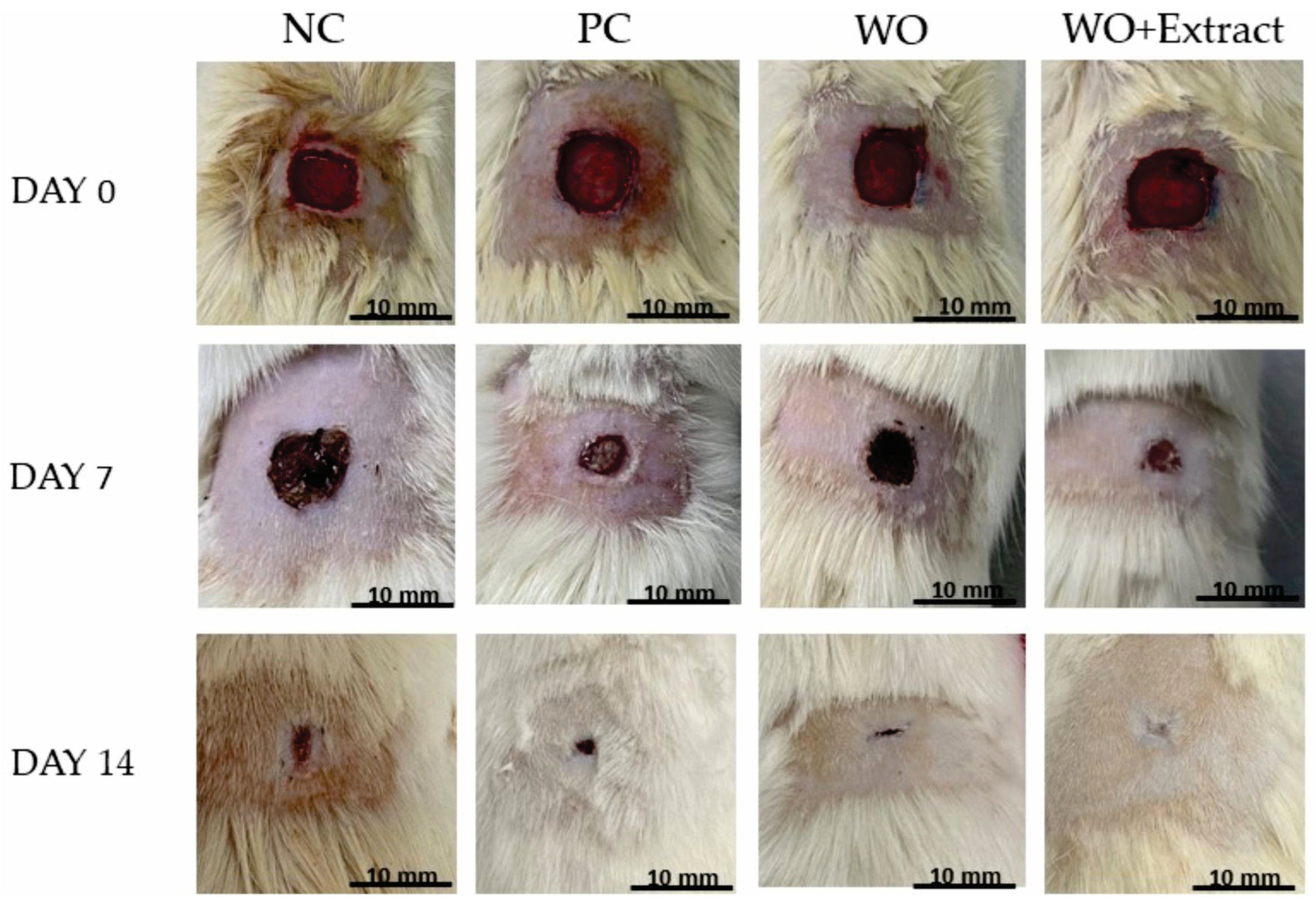 Textiles 05 00046 g006 Textiles 05 00046 g006