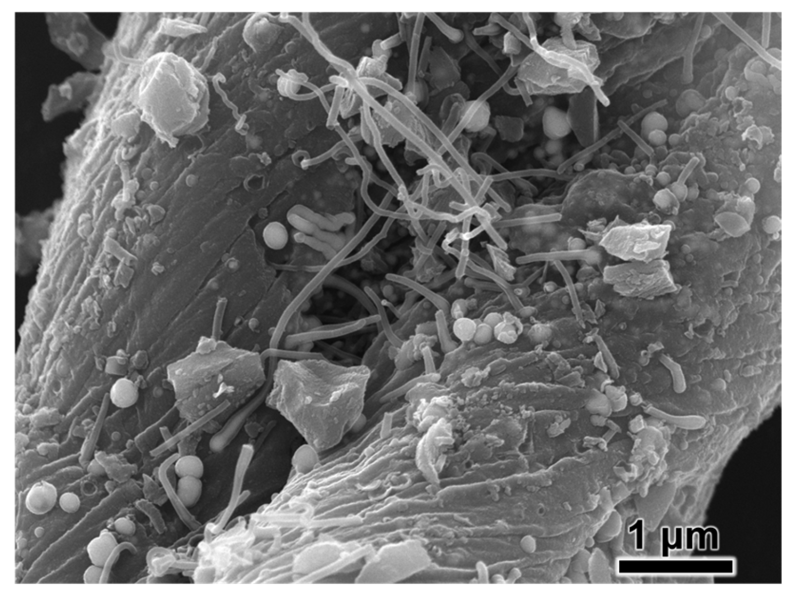 Textiles 06 00012 g008