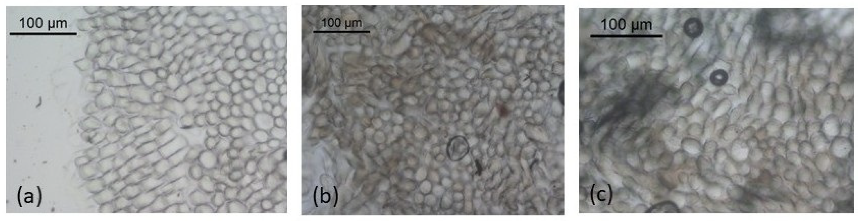 Textiles 06 00029 g009
