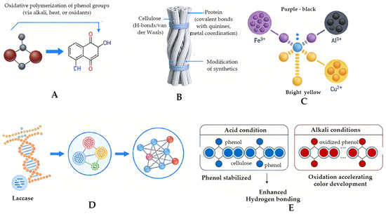 Application of Plant Polyphenols in Multifunctional Textiles