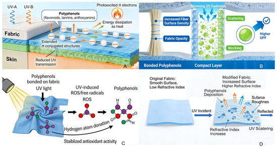 Application of Plant Polyphenols in Multifunctional Textiles