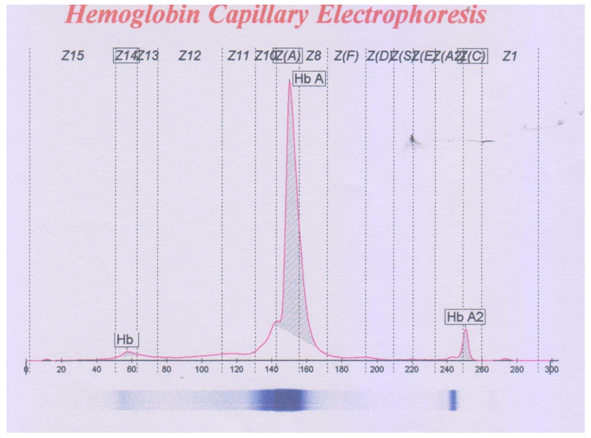 Thalassrep 12 00010 g001 Thalassrep 12 00010 g001