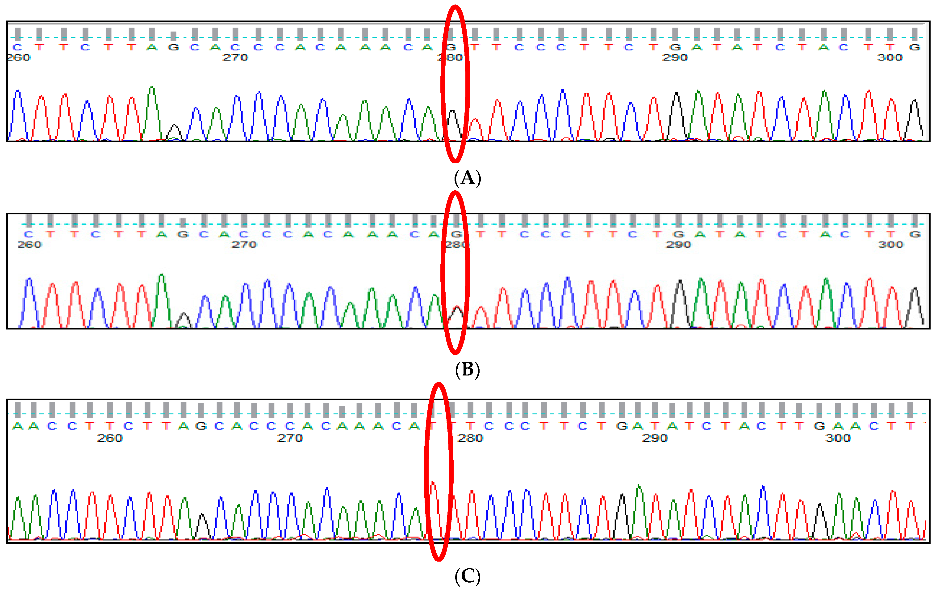 Thalassrep 13 00009 g002