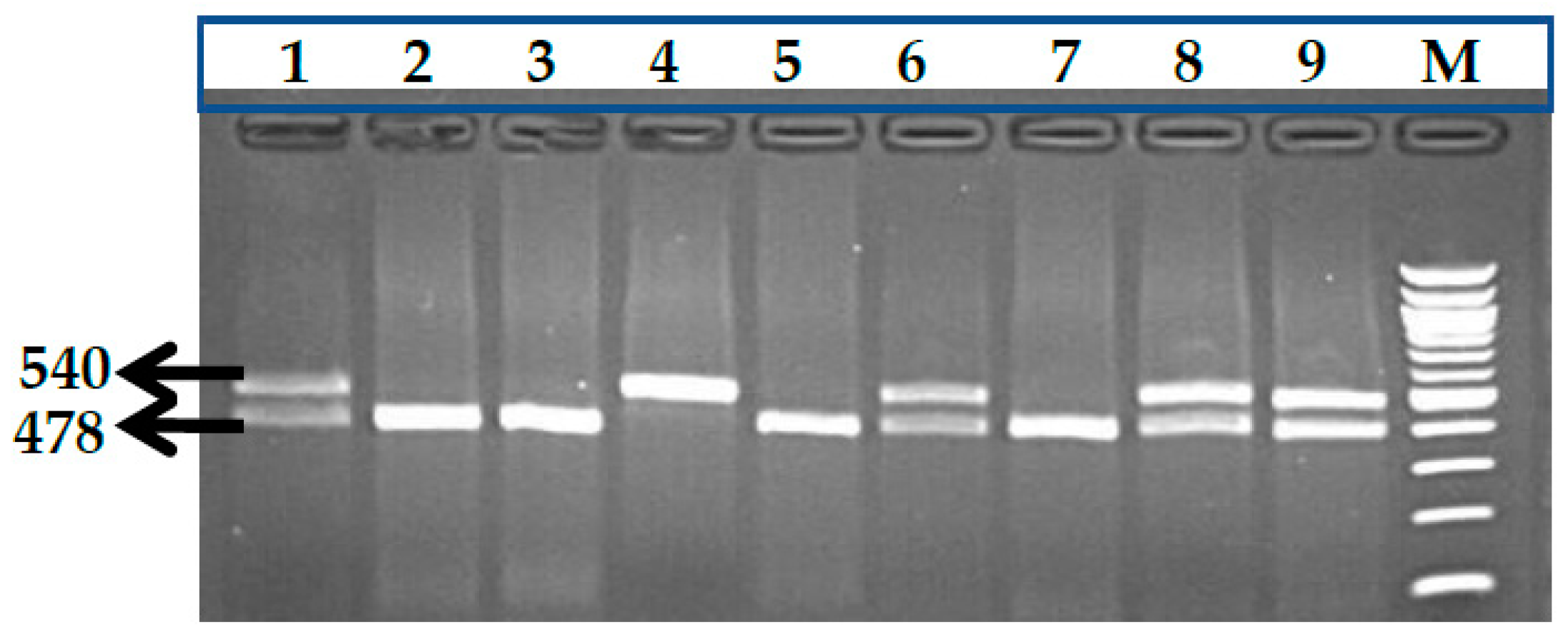 Thalassrep 13 00009 g005