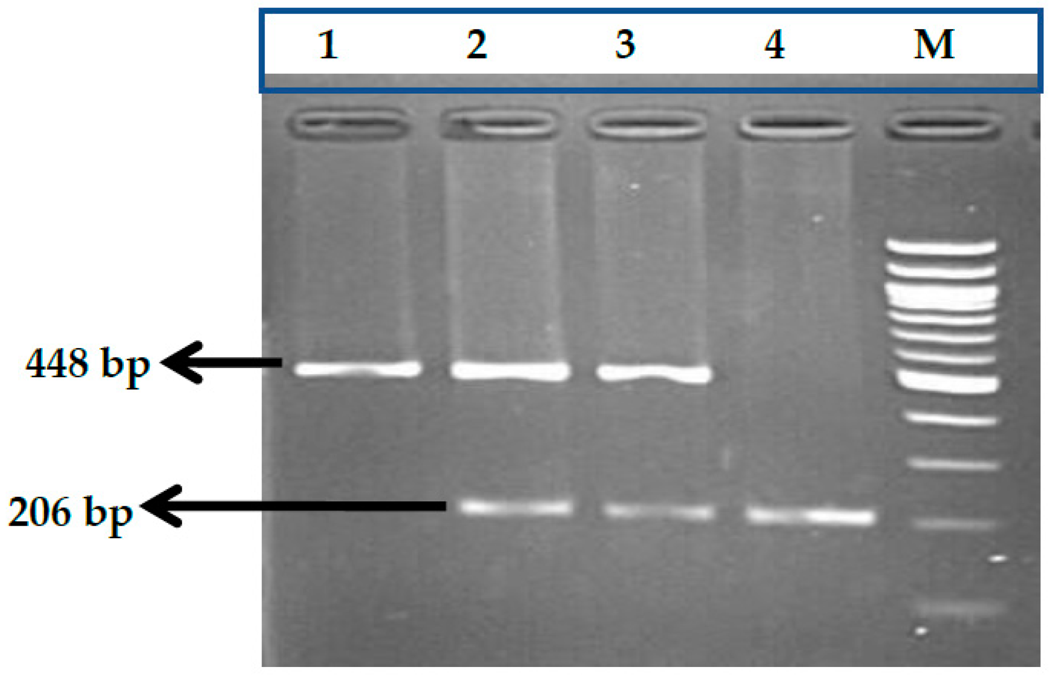 Thalassrep 13 00009 g007
