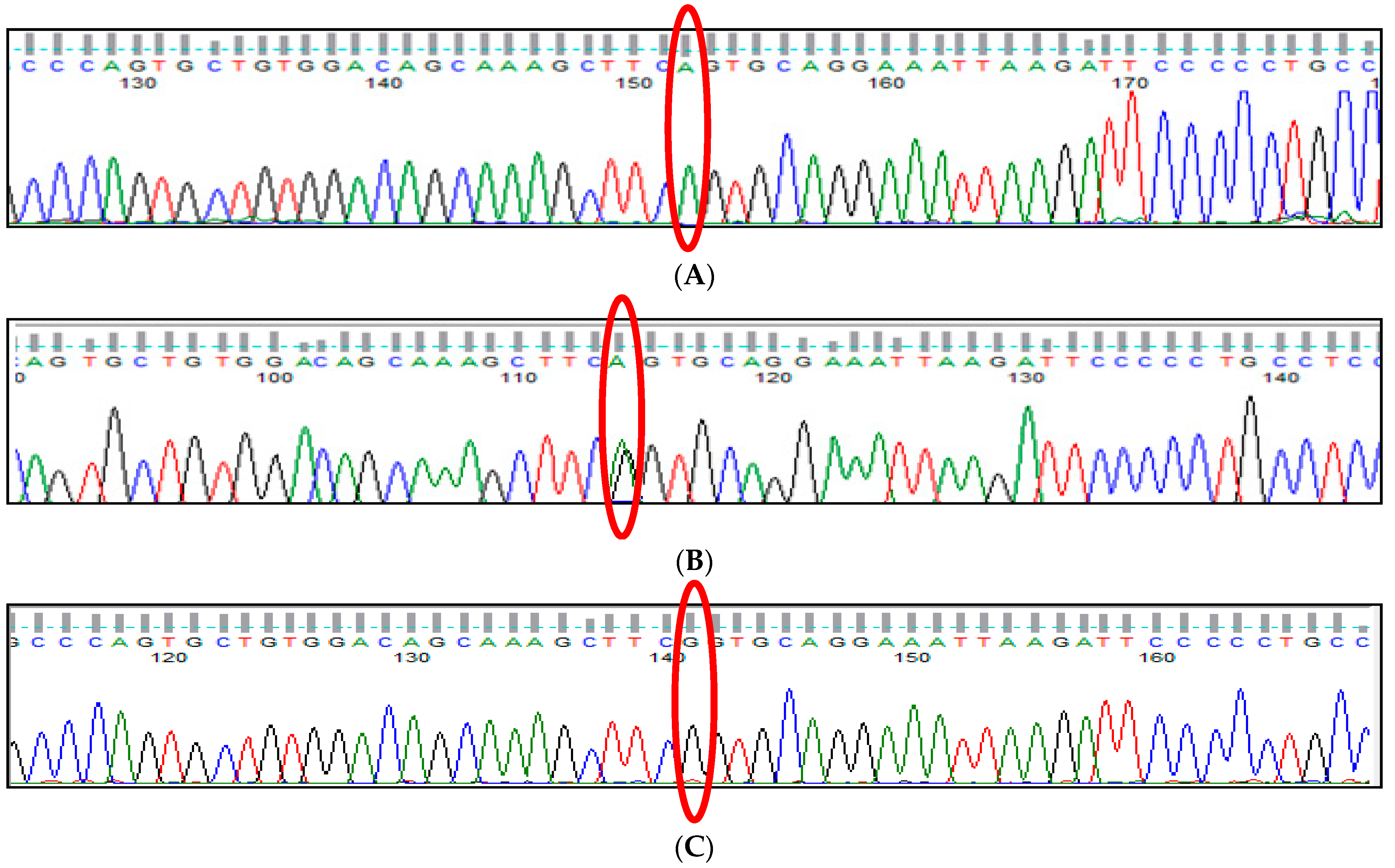 Thalassrep 13 00009 g008