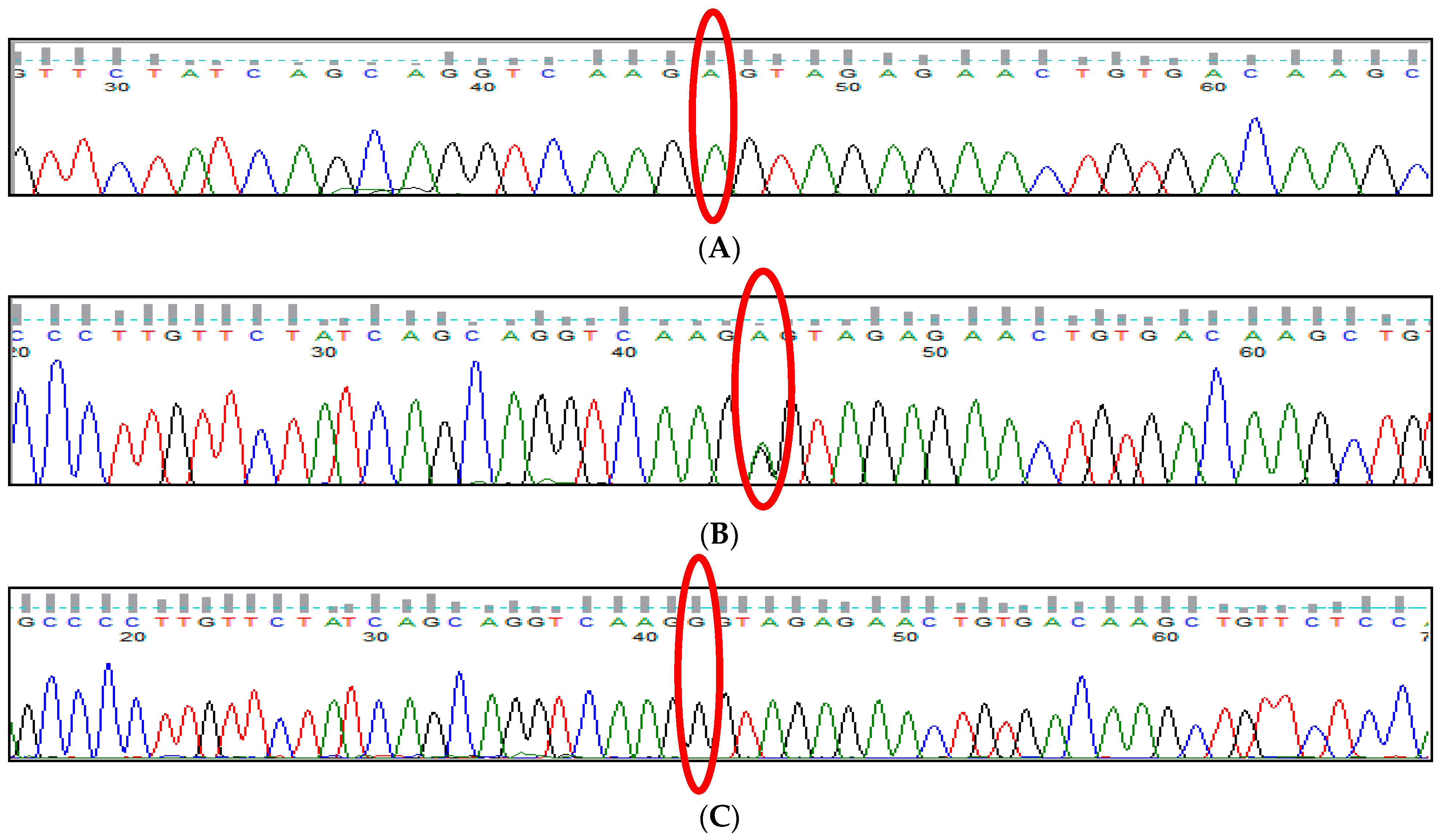 Thalassrep 13 00009 g010