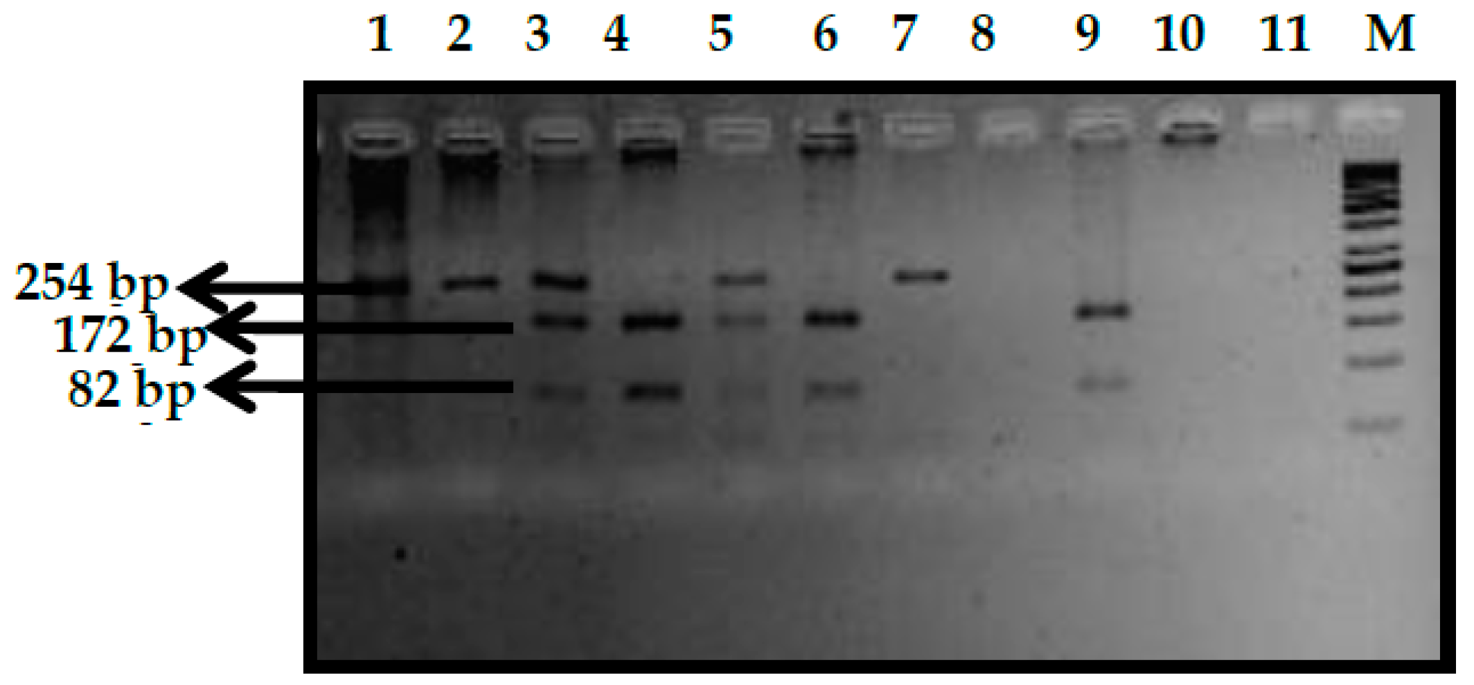 Thalassrep 13 00009 g011