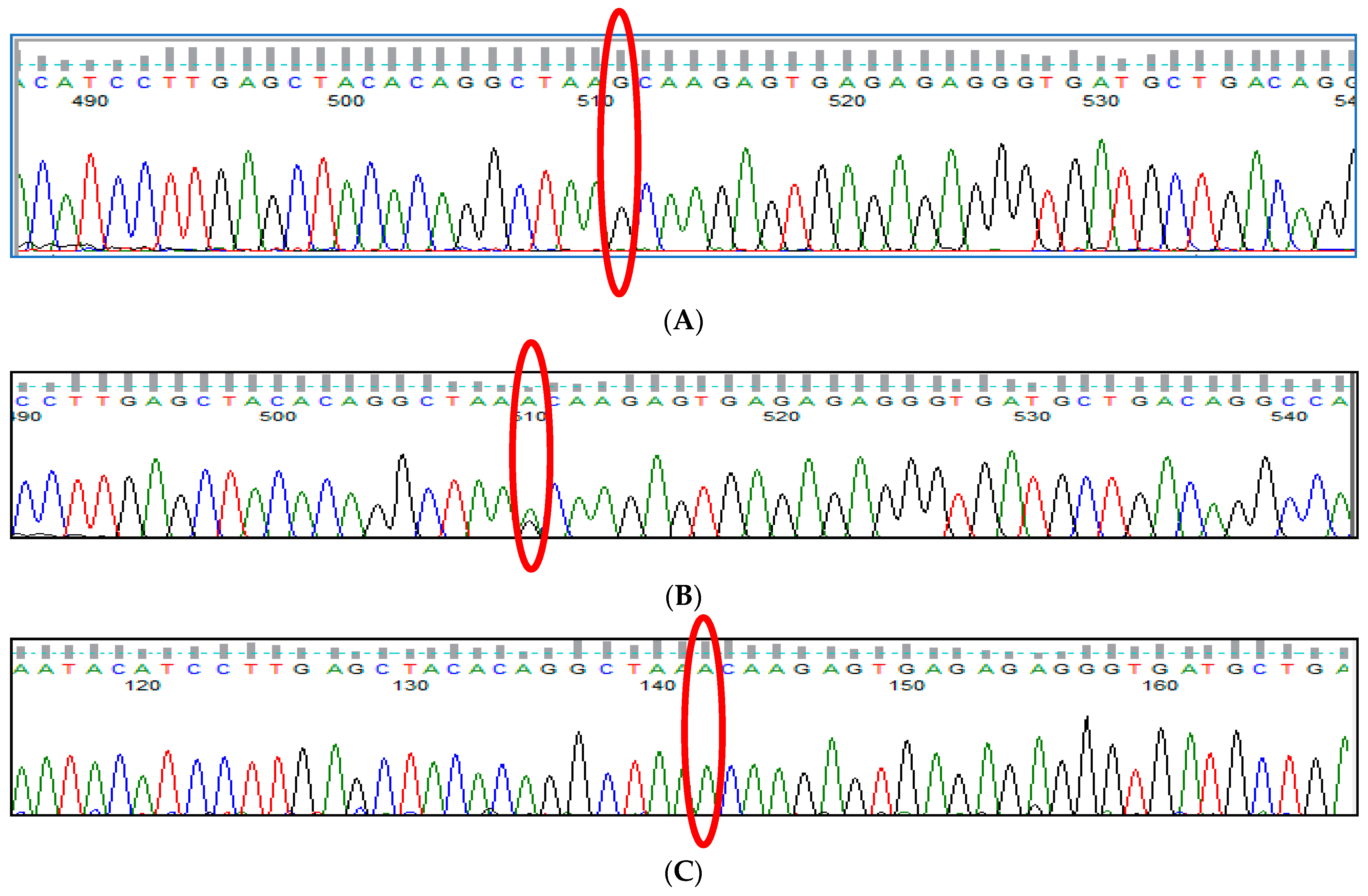 Thalassrep 13 00009 g012