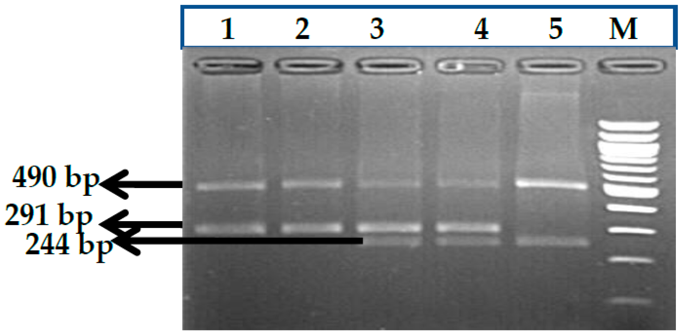 Thalassrep 13 00009 g014