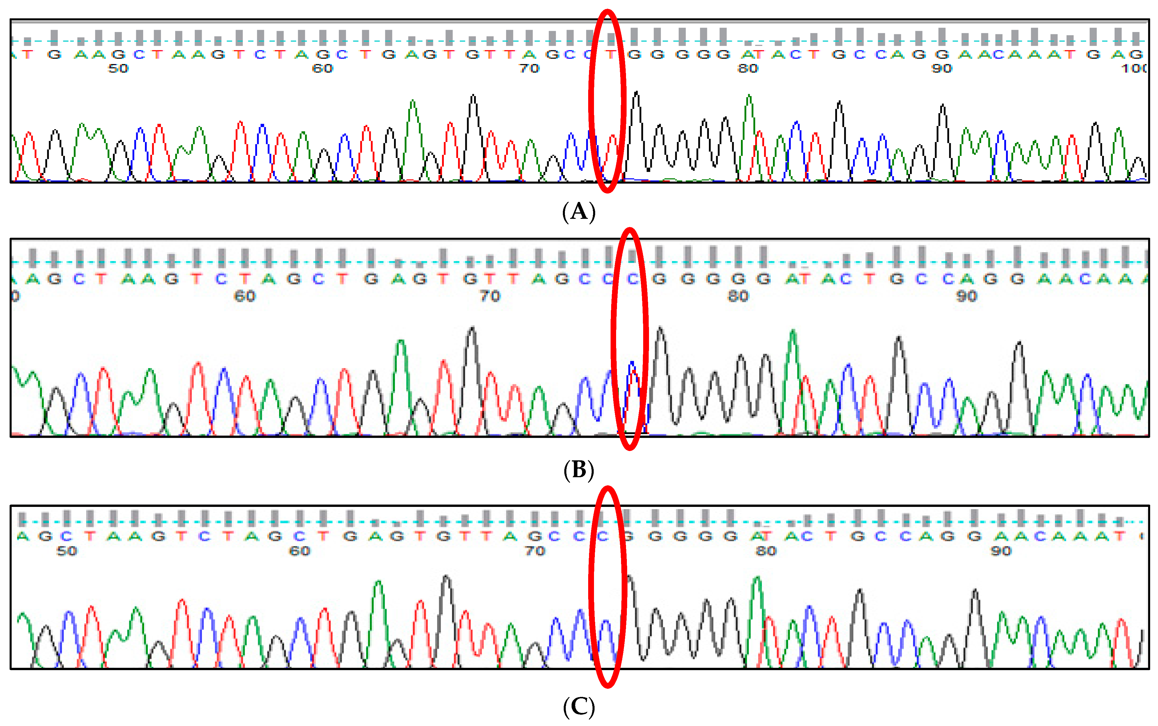 Thalassrep 13 00009 g015