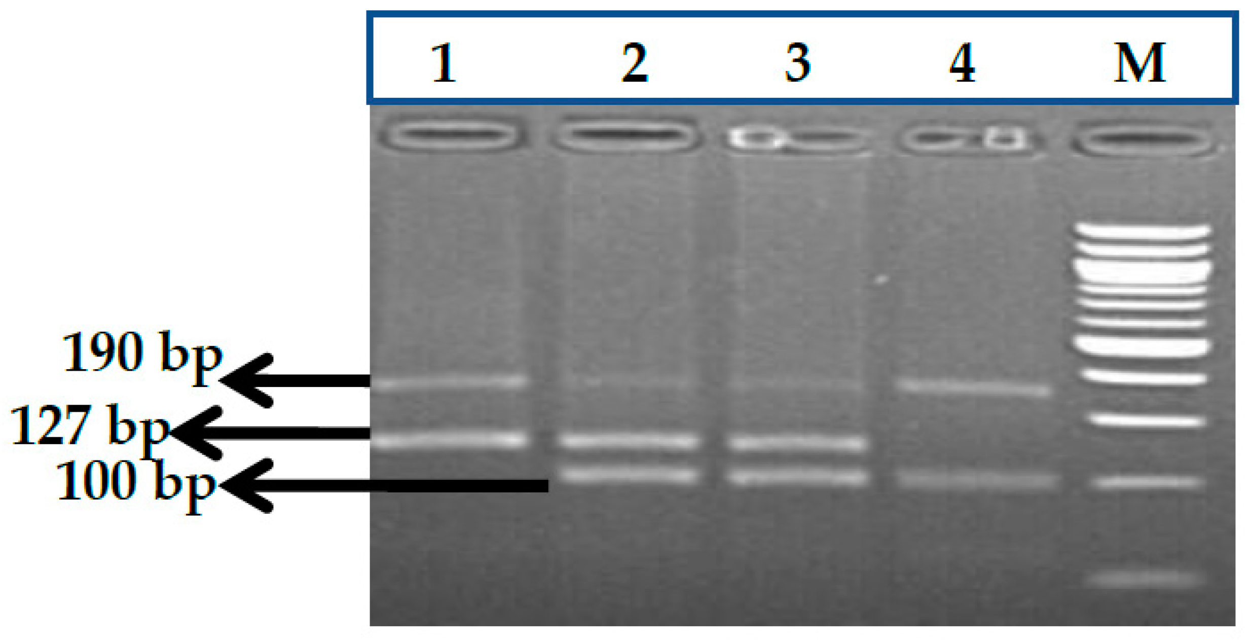 Thalassrep 13 00009 g016