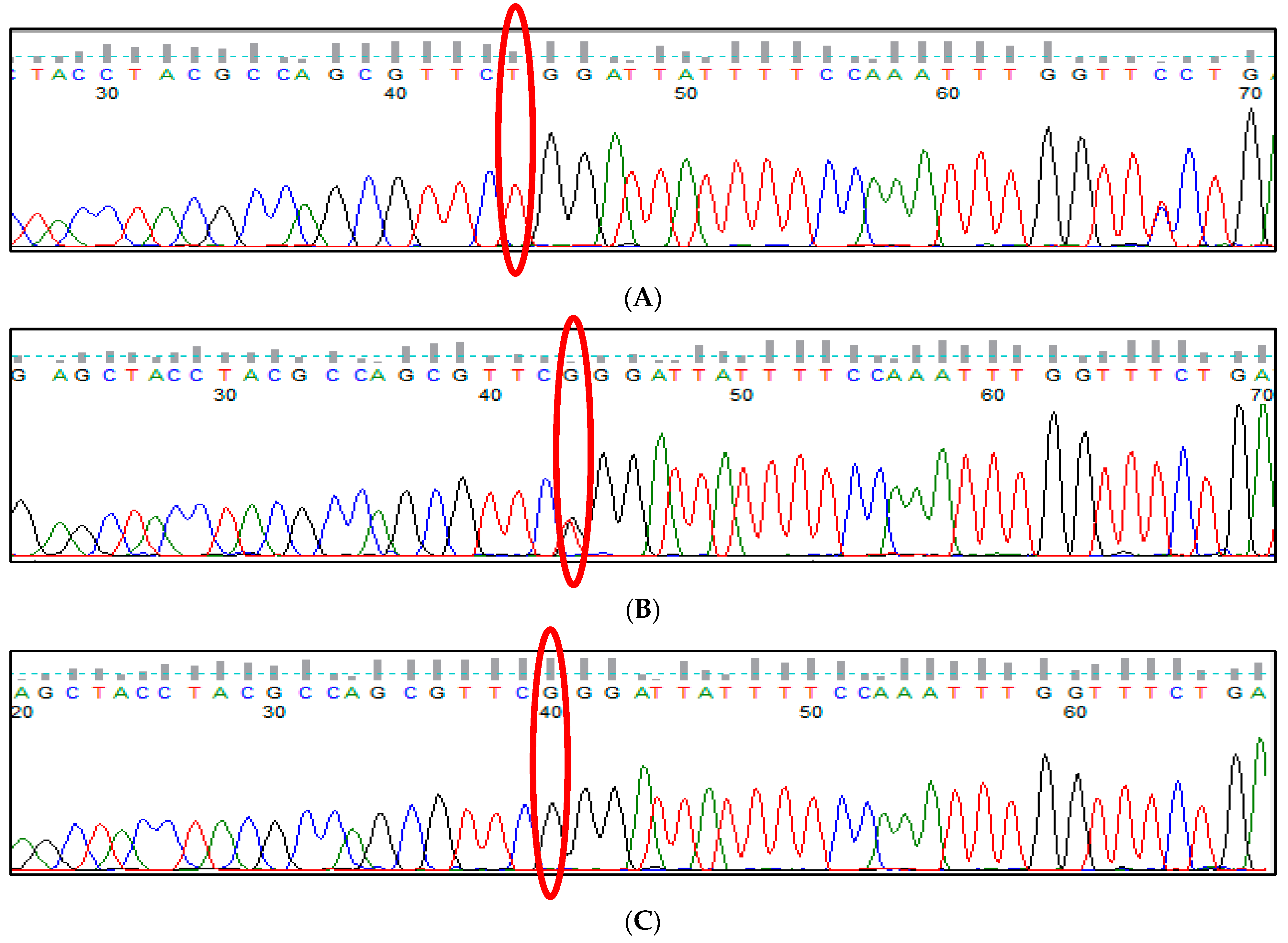 Thalassrep 13 00009 g017