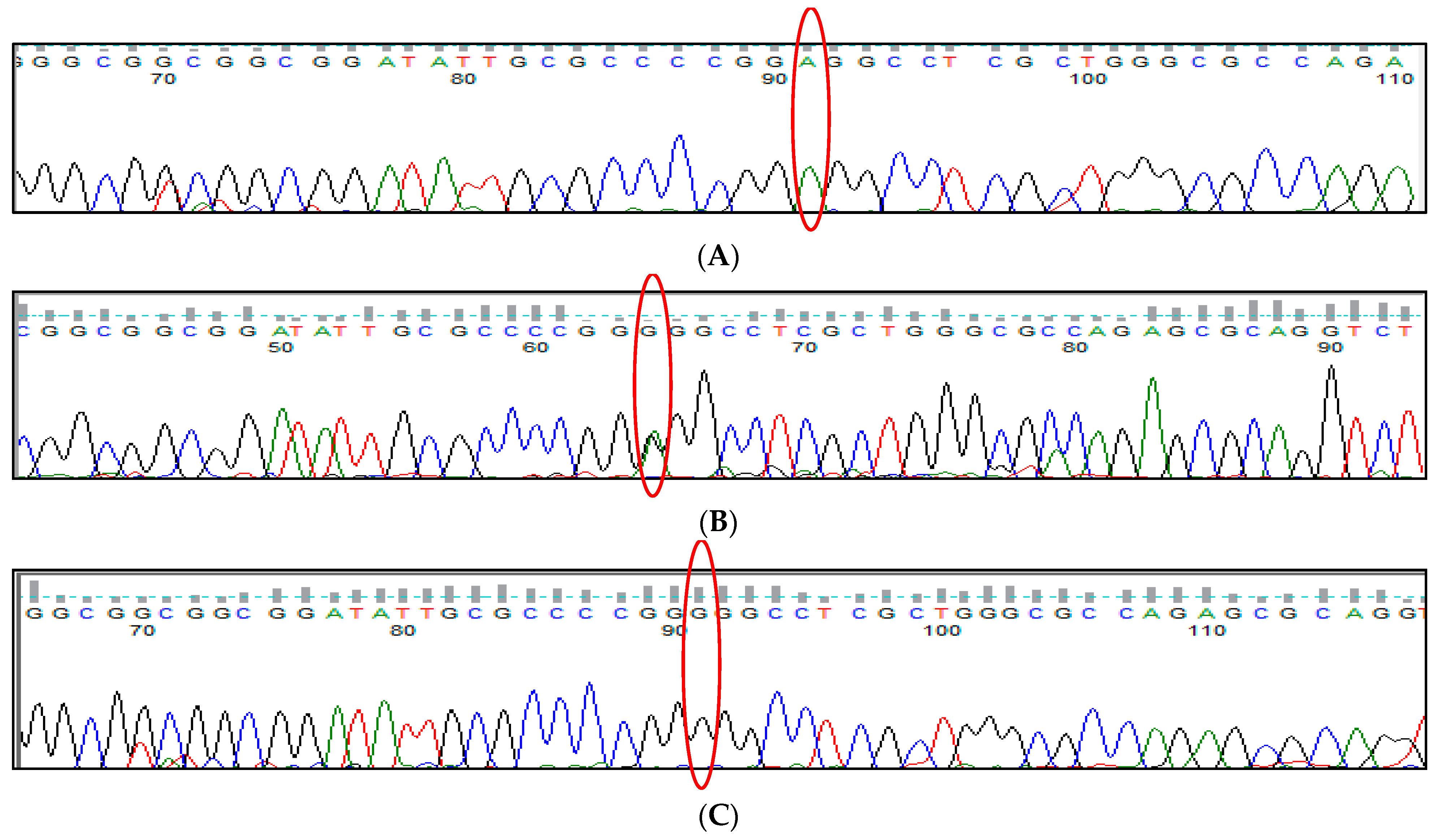 Thalassrep 13 00009 g019