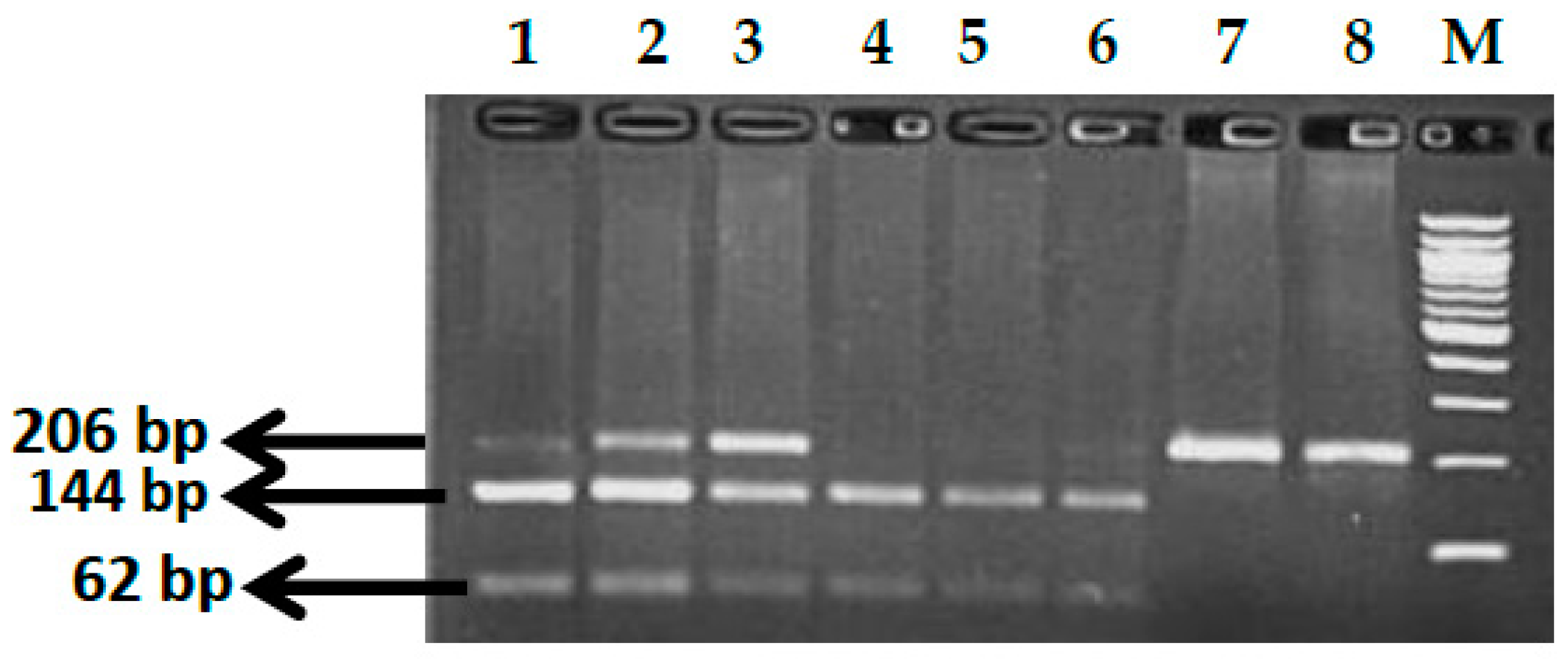 Thalassrep 13 00009 g020