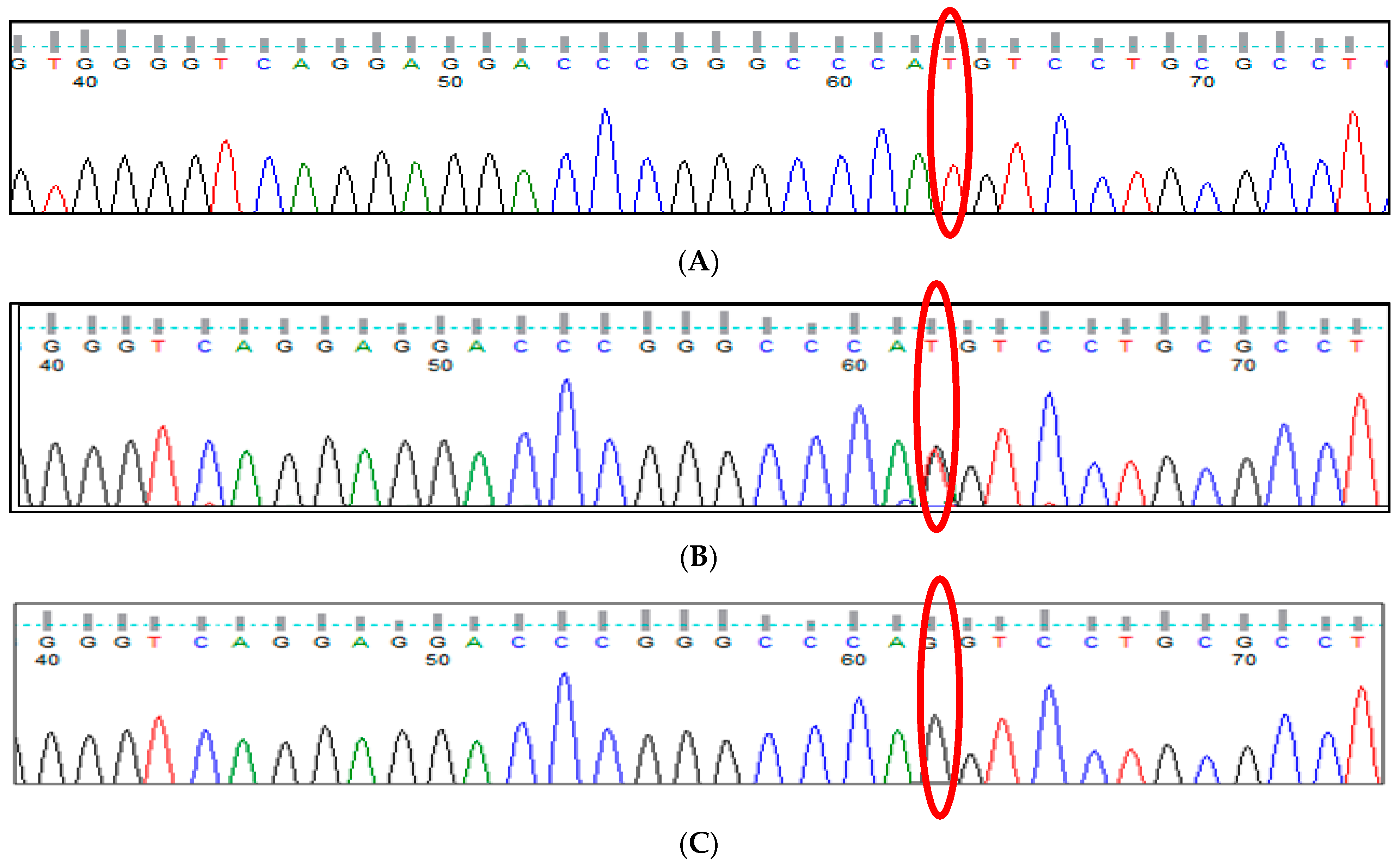 Thalassrep 13 00009 g021