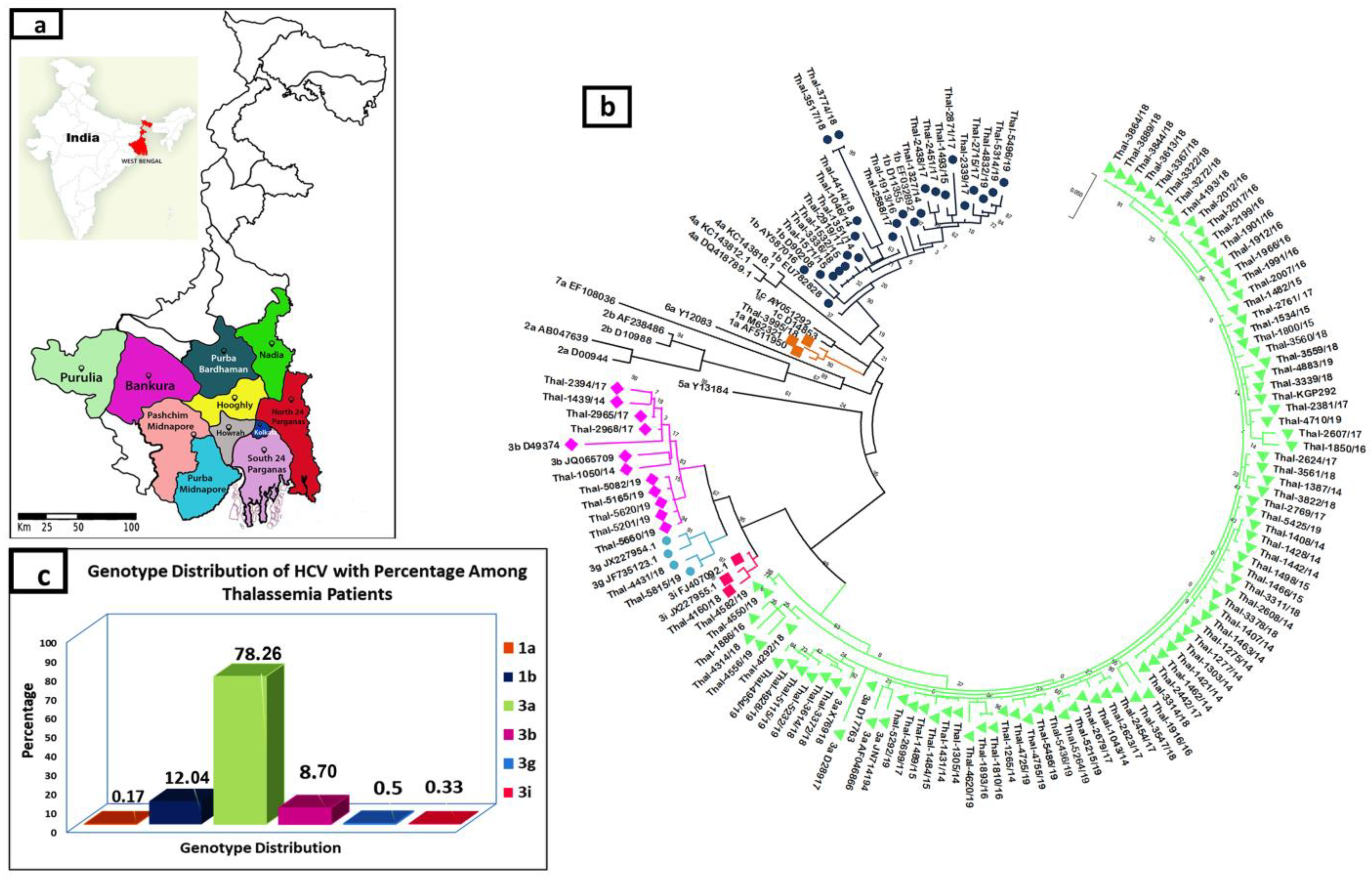 Thalassrep 13 00016 g001