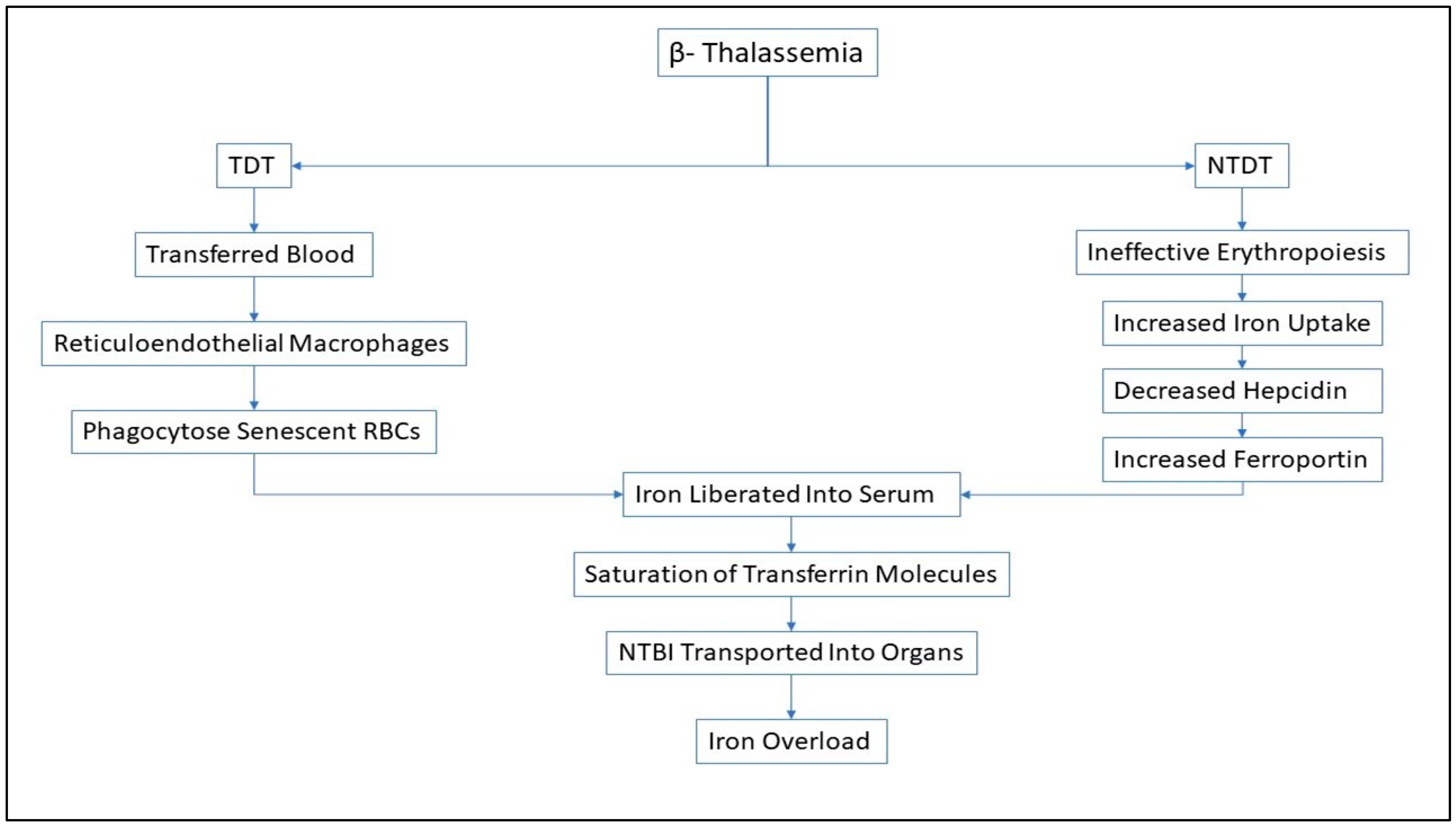 Thalassrep 13 00017 g002