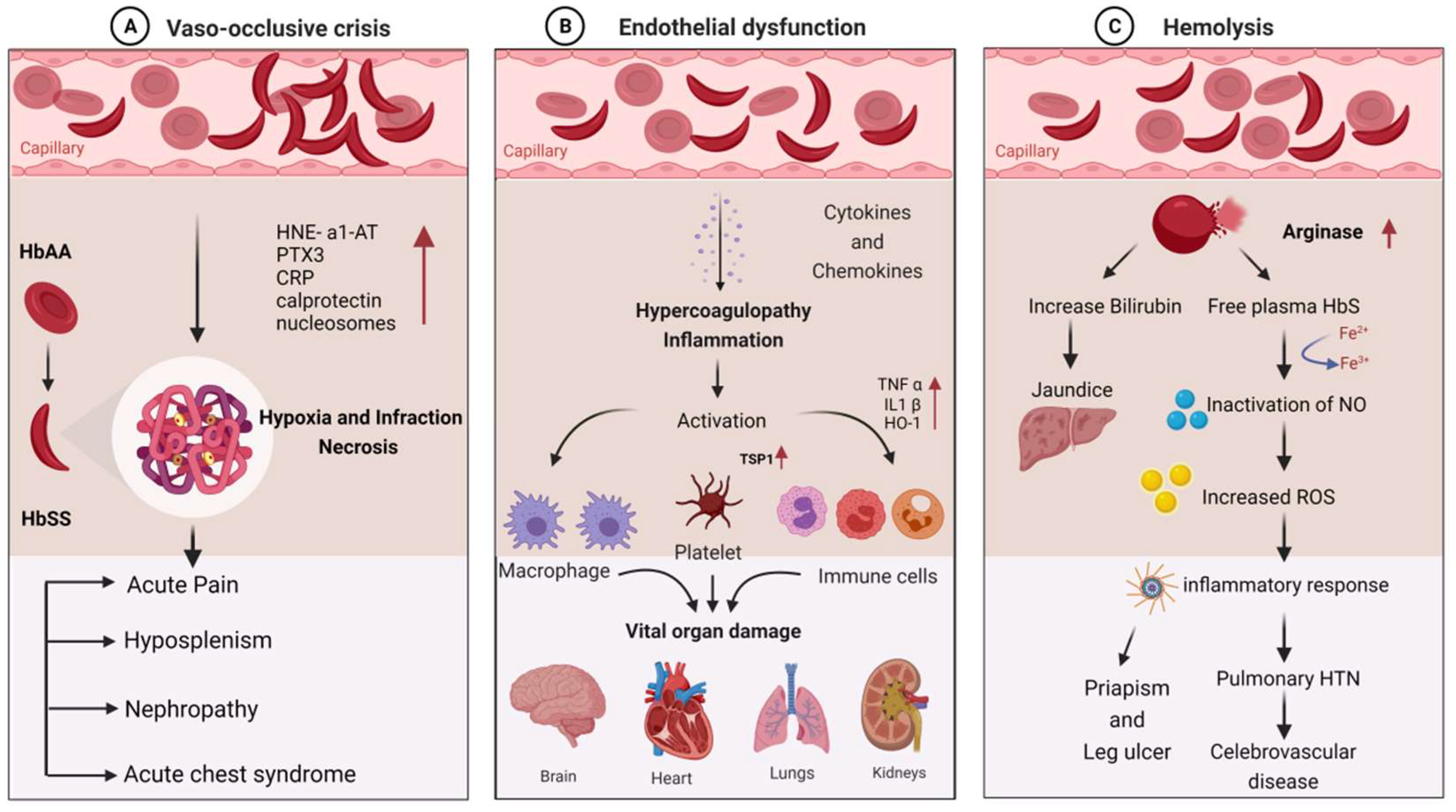 Thalassrep 13 00019 g001 Thalassrep 13 00019 g001