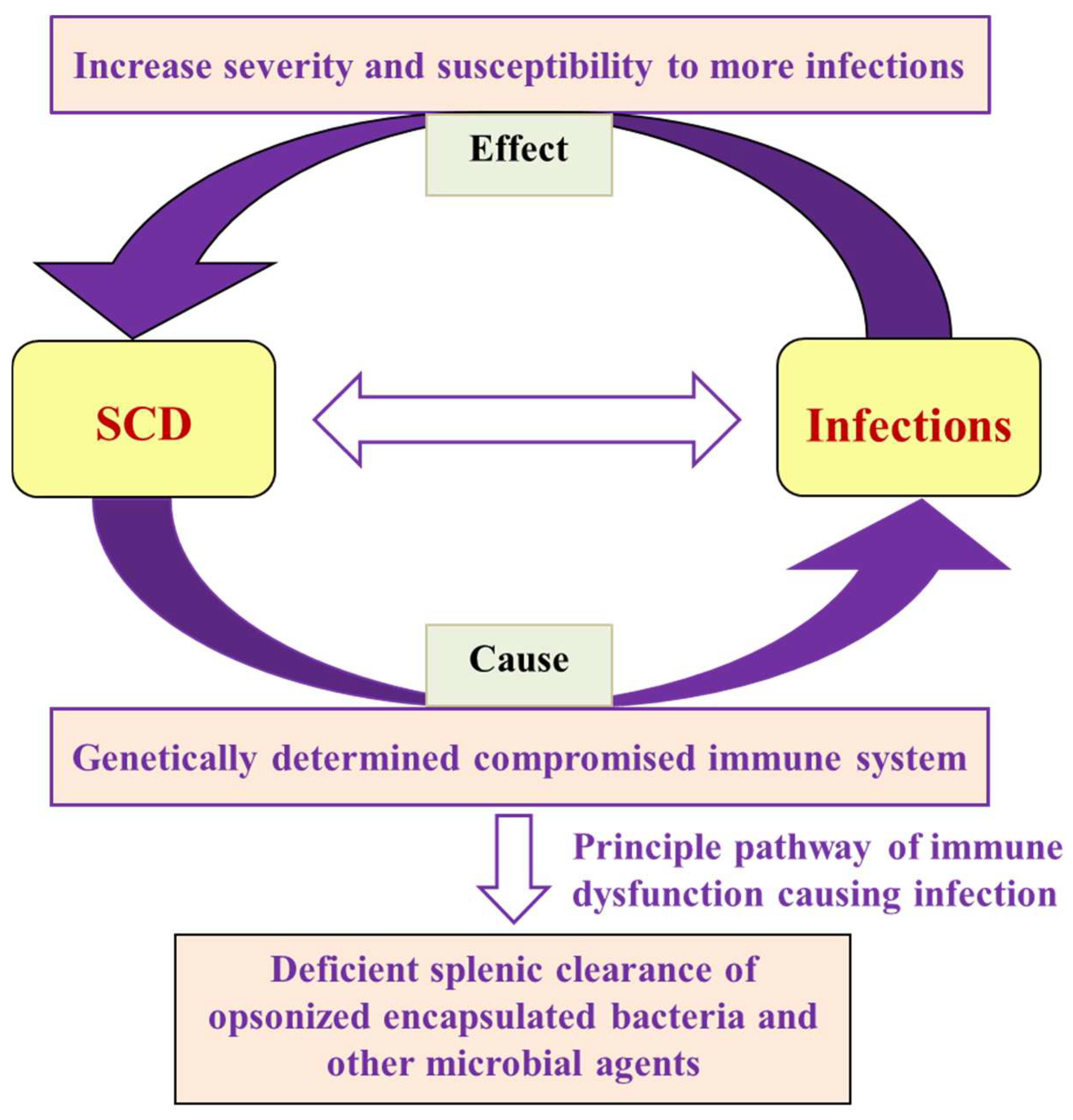 Thalassrep 13 00019 g002 Thalassrep 13 00019 g002