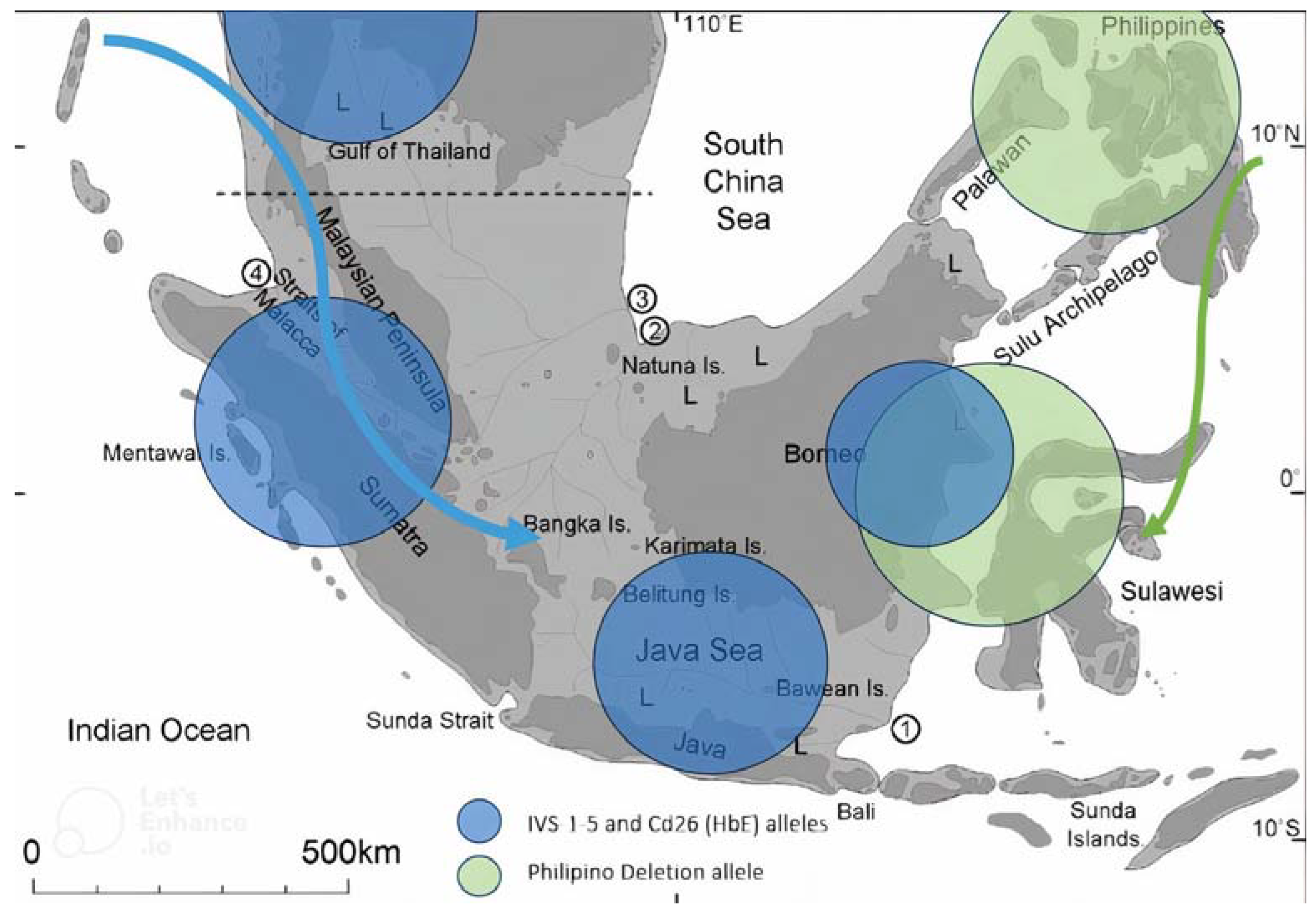 Thalassrep 13 00022 g002
