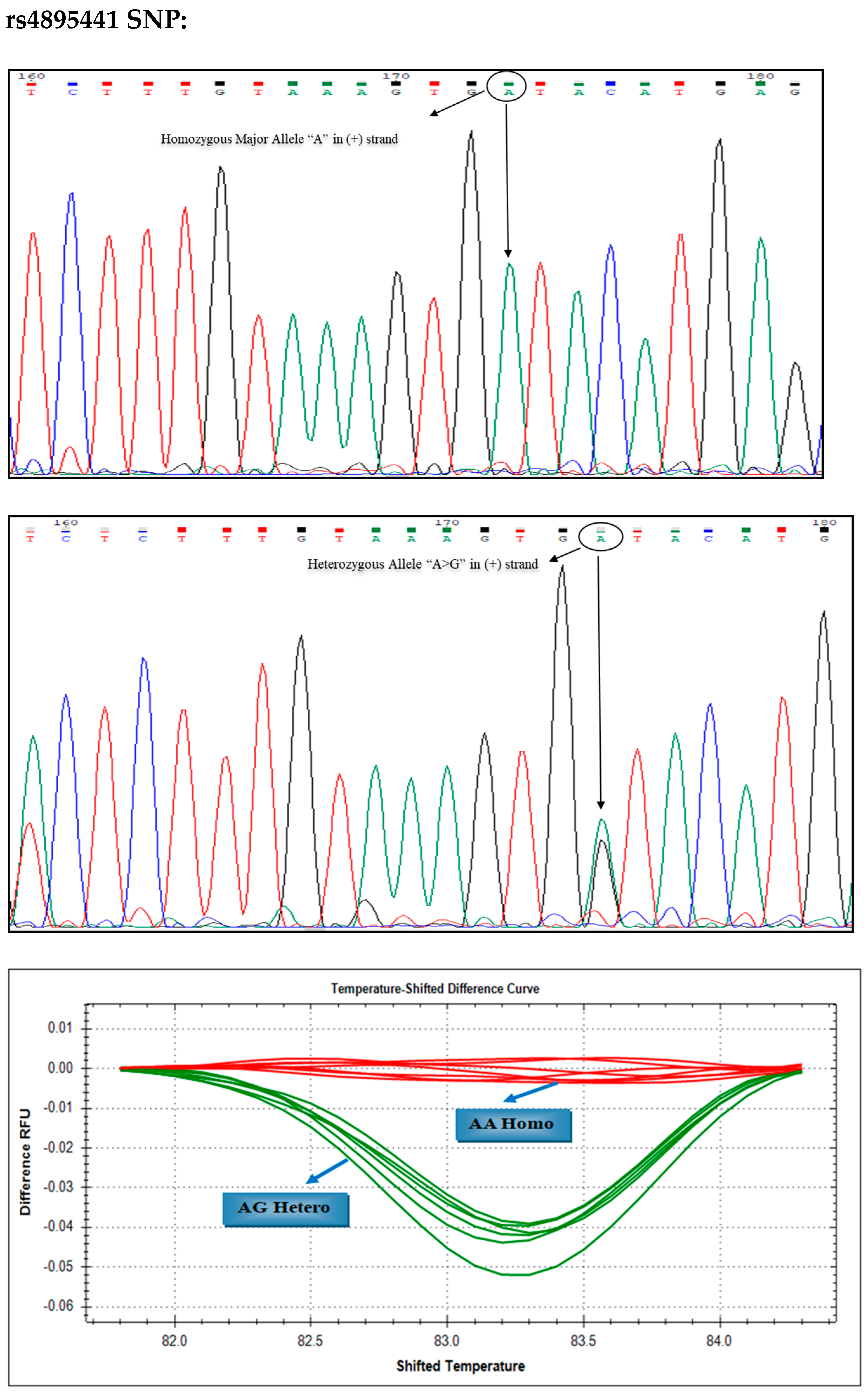 Thalassrep 14 00011 g003b
