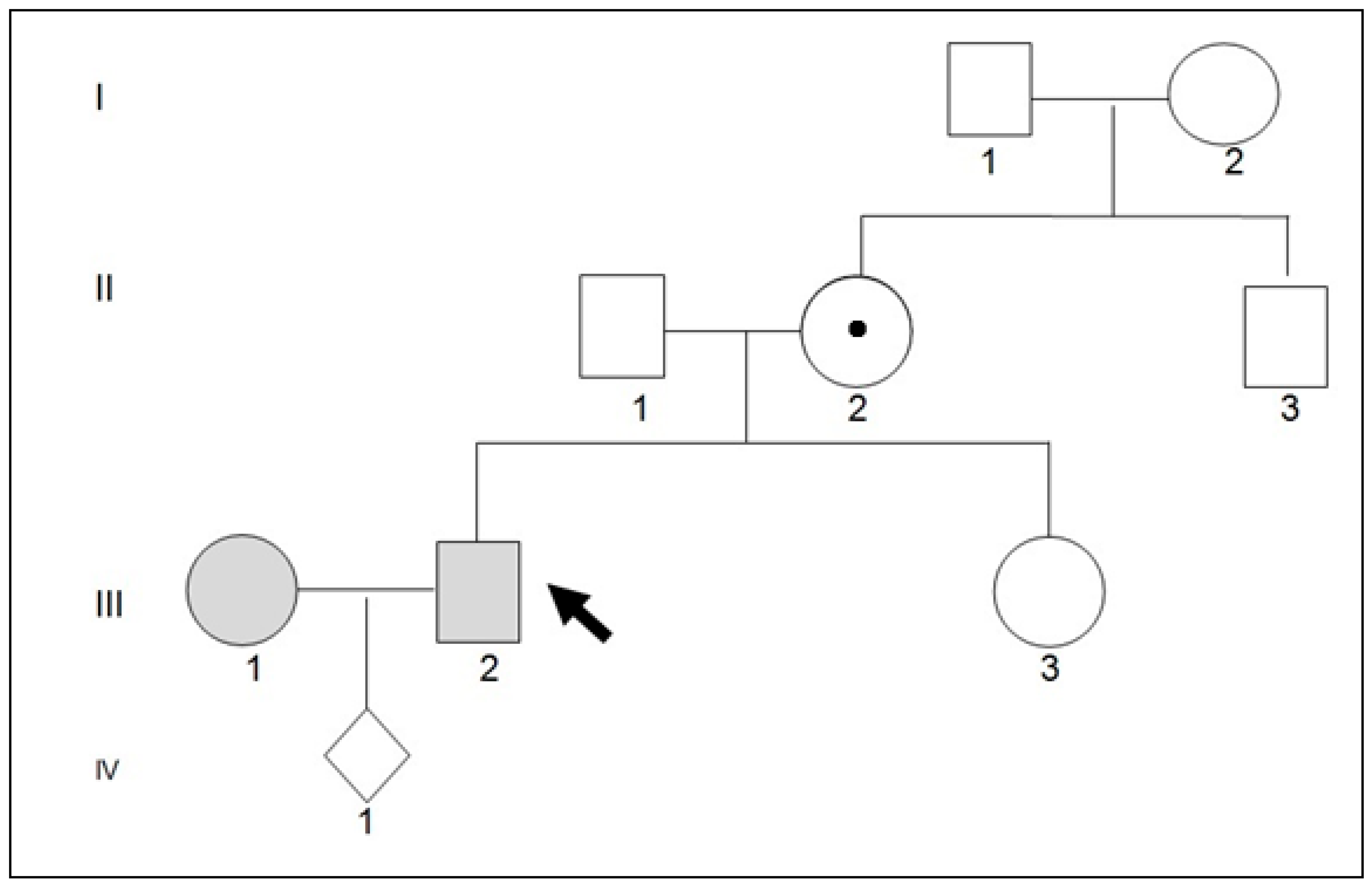 Thalassrep 14 00012 g001