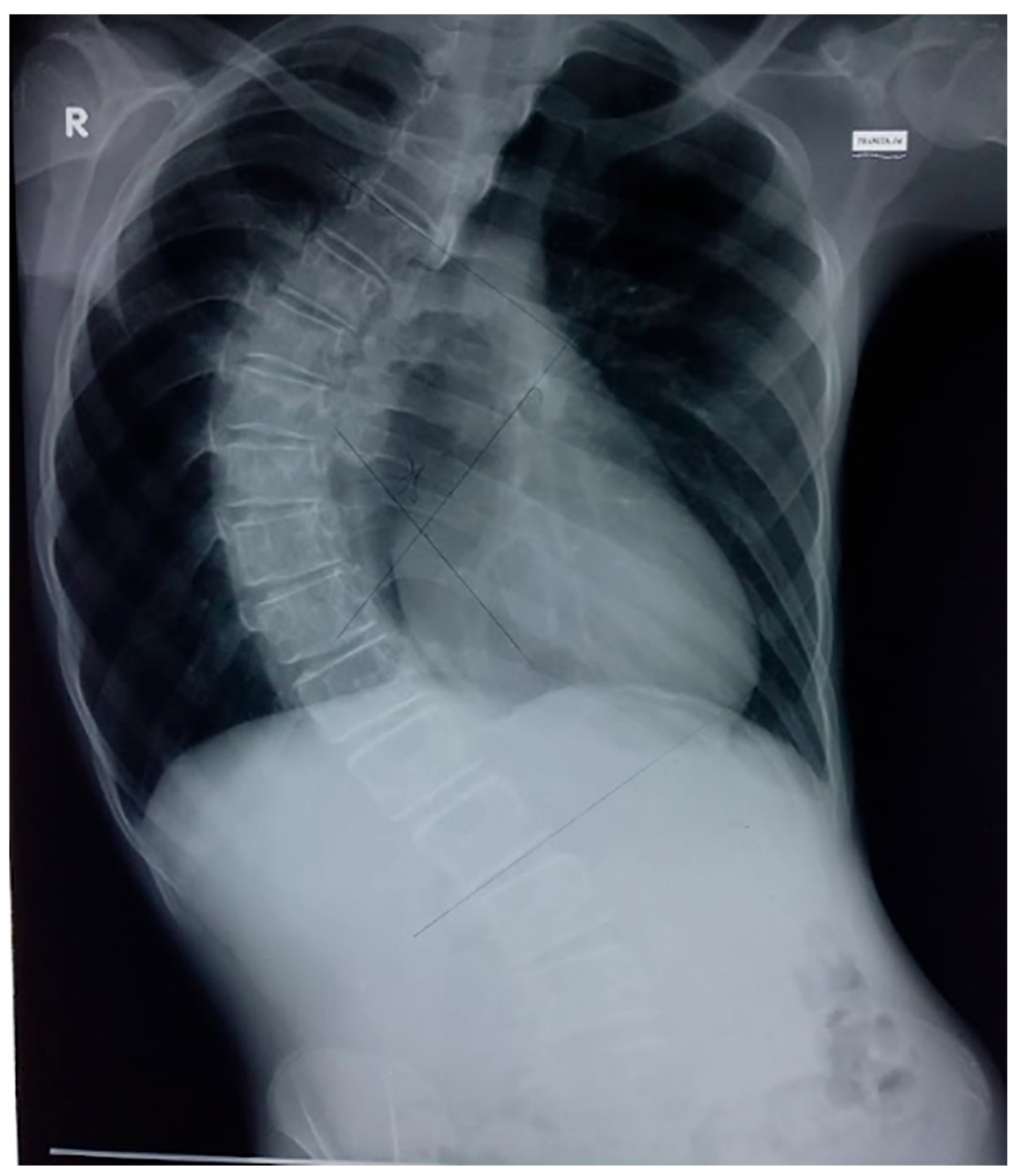 Thalassrep 15 00006 g001