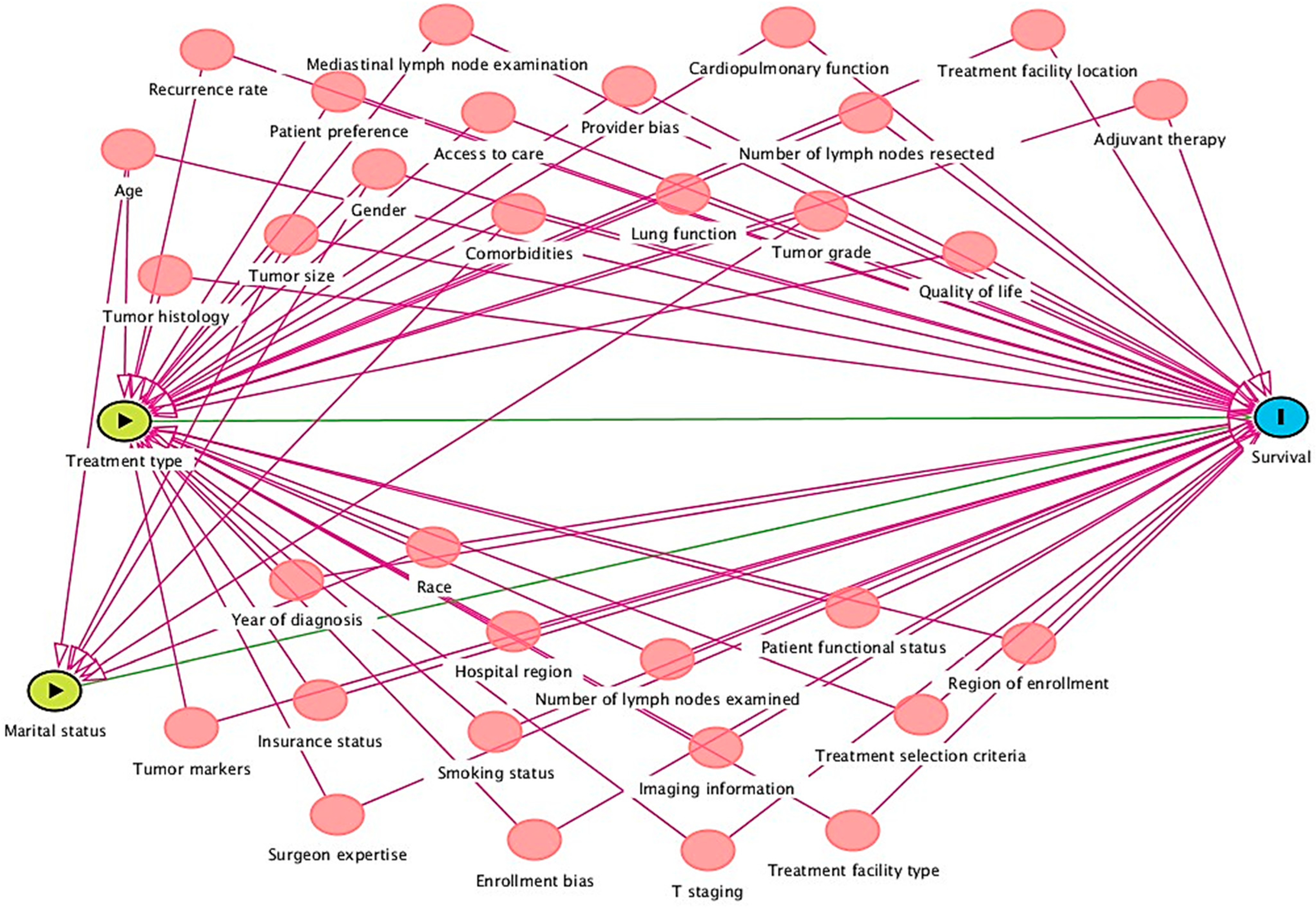 Therapeutics 01 00008 g003 Therapeutics 01 00008 g003