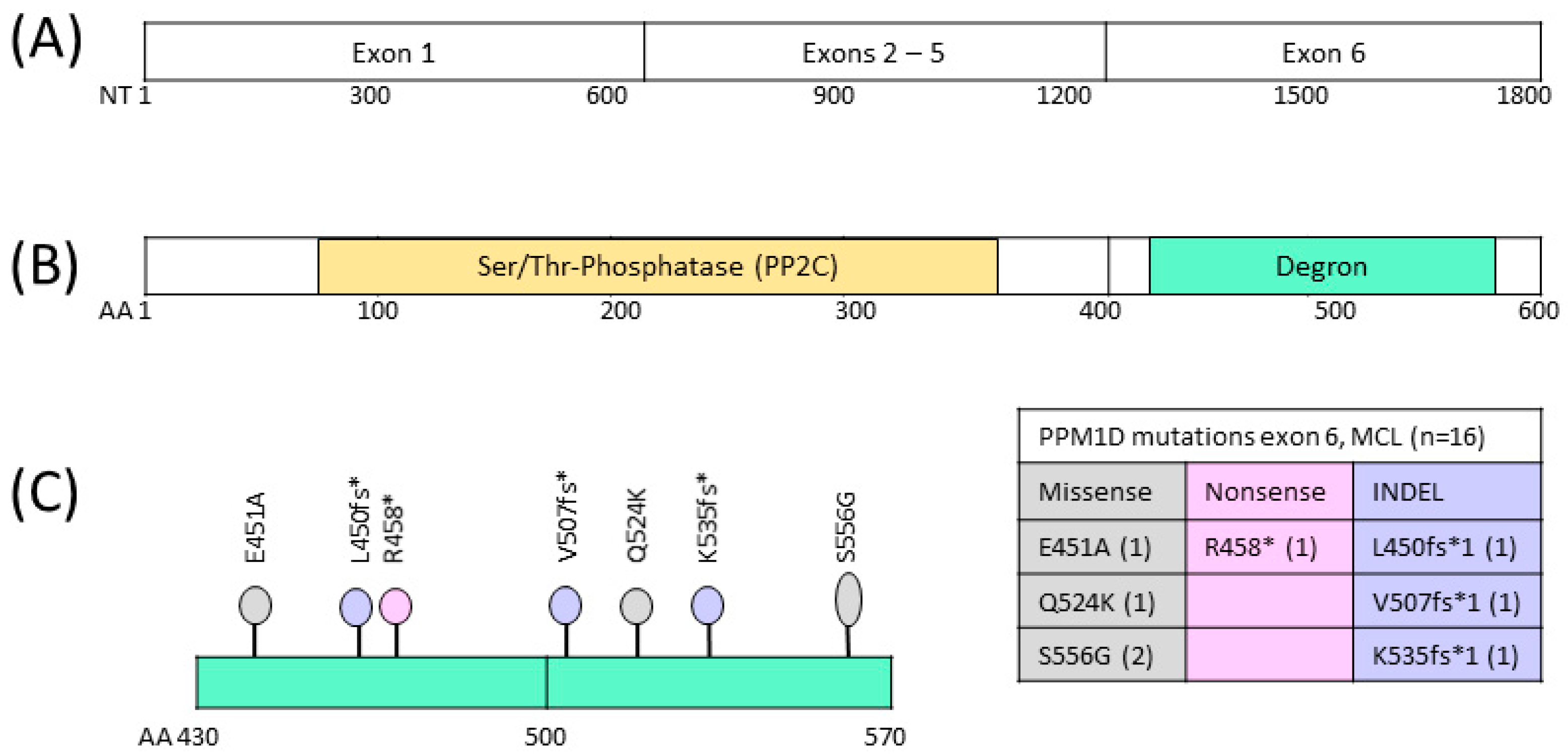 Therapeutics 01 00009 g001
