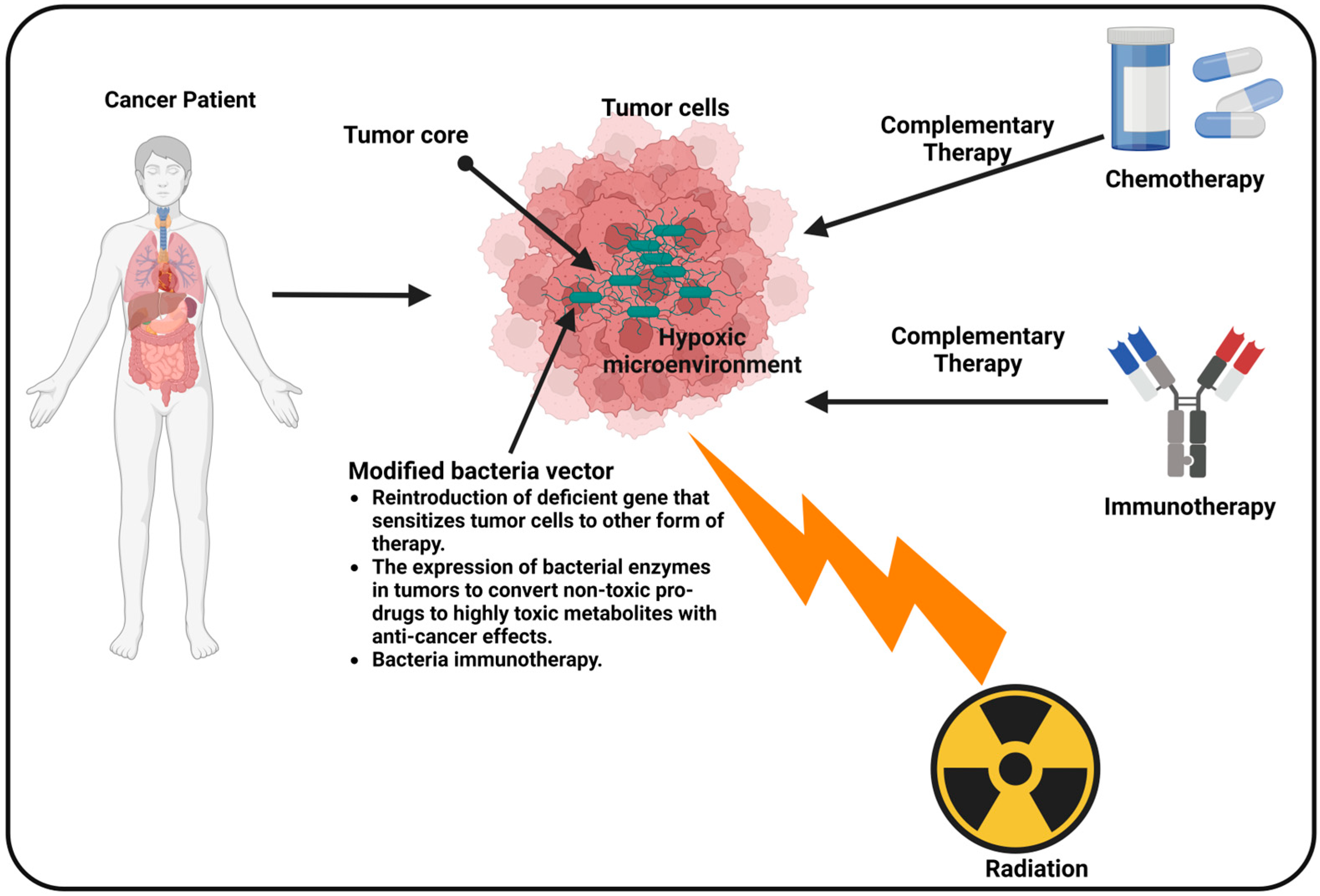 Therapeutics 01 00011 g003