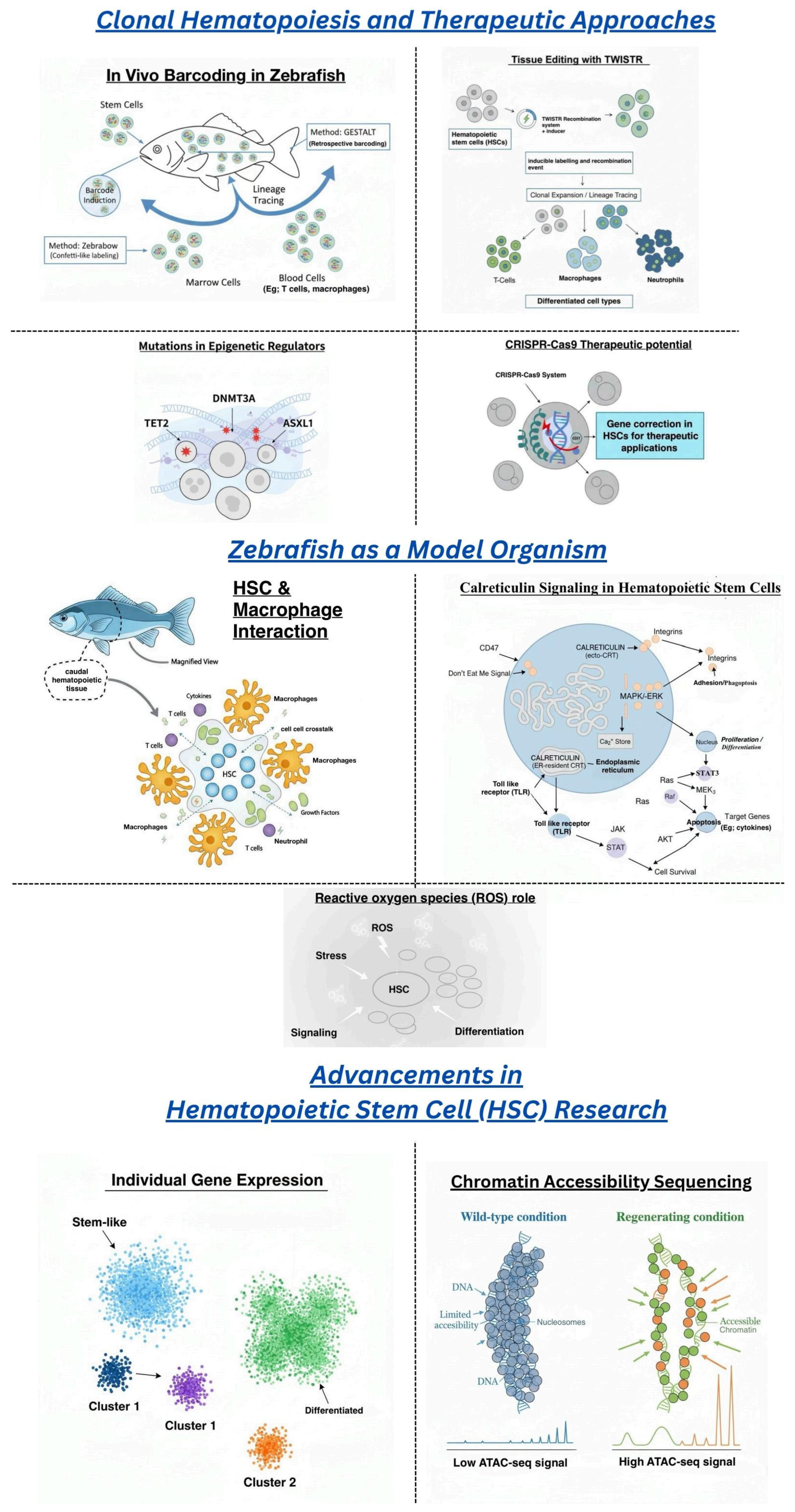 Therapeutics 02 00018 g001 Therapeutics 02 00018 g001