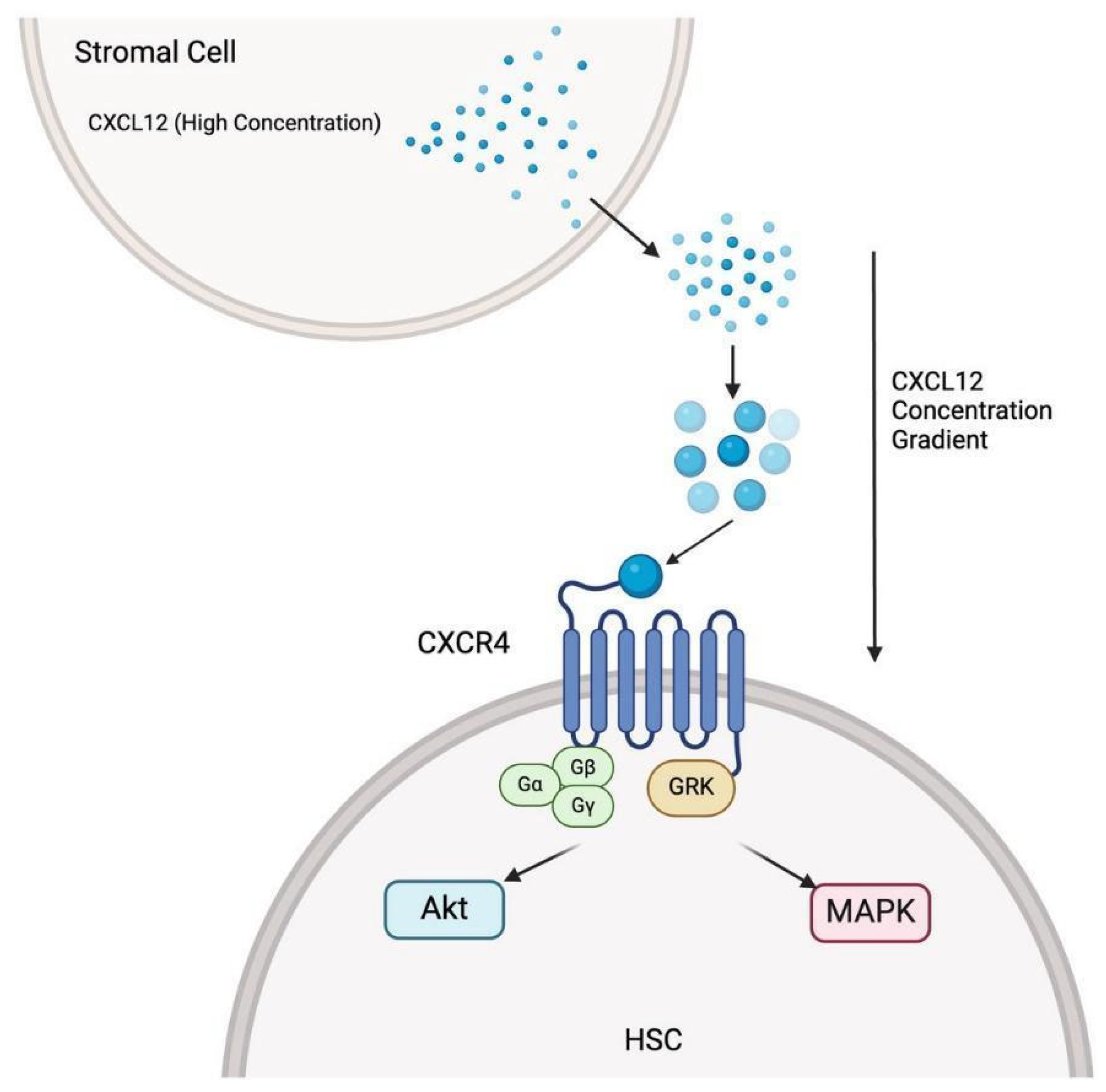Therapeutics 02 00018 g002 Therapeutics 02 00018 g002
