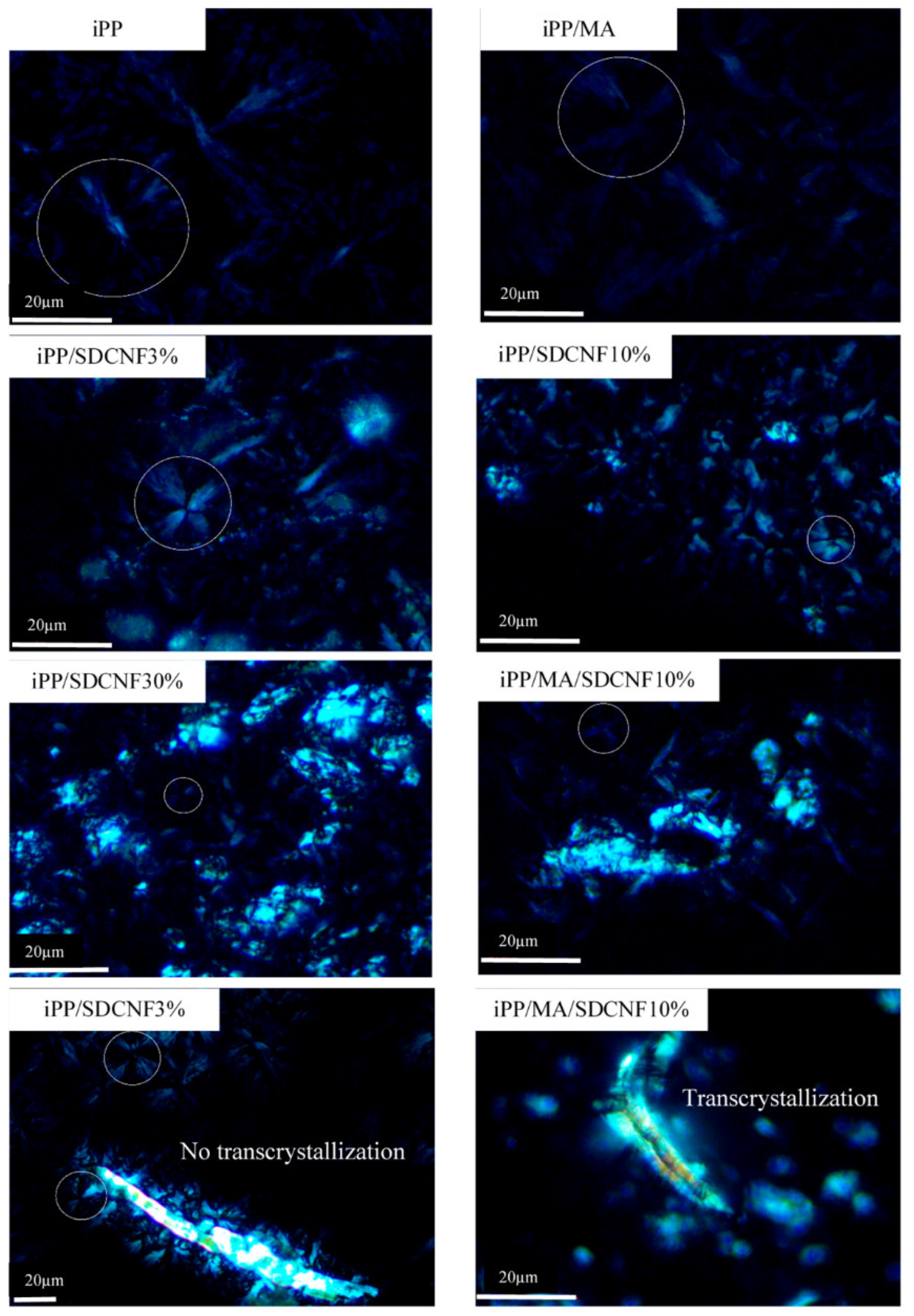 Thermo 02 00006 g005 550