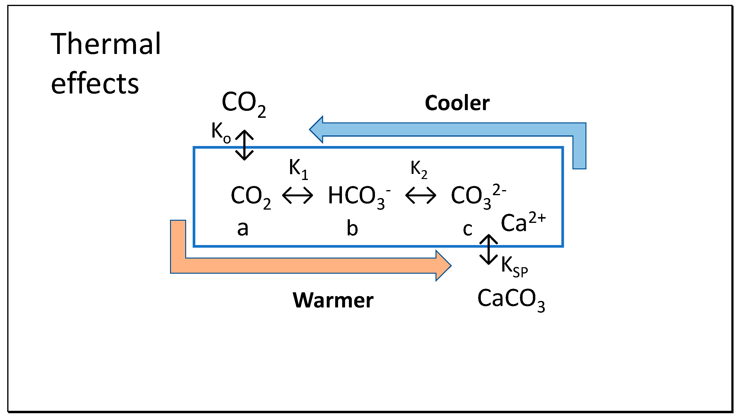 Thermo 02 00028 g002