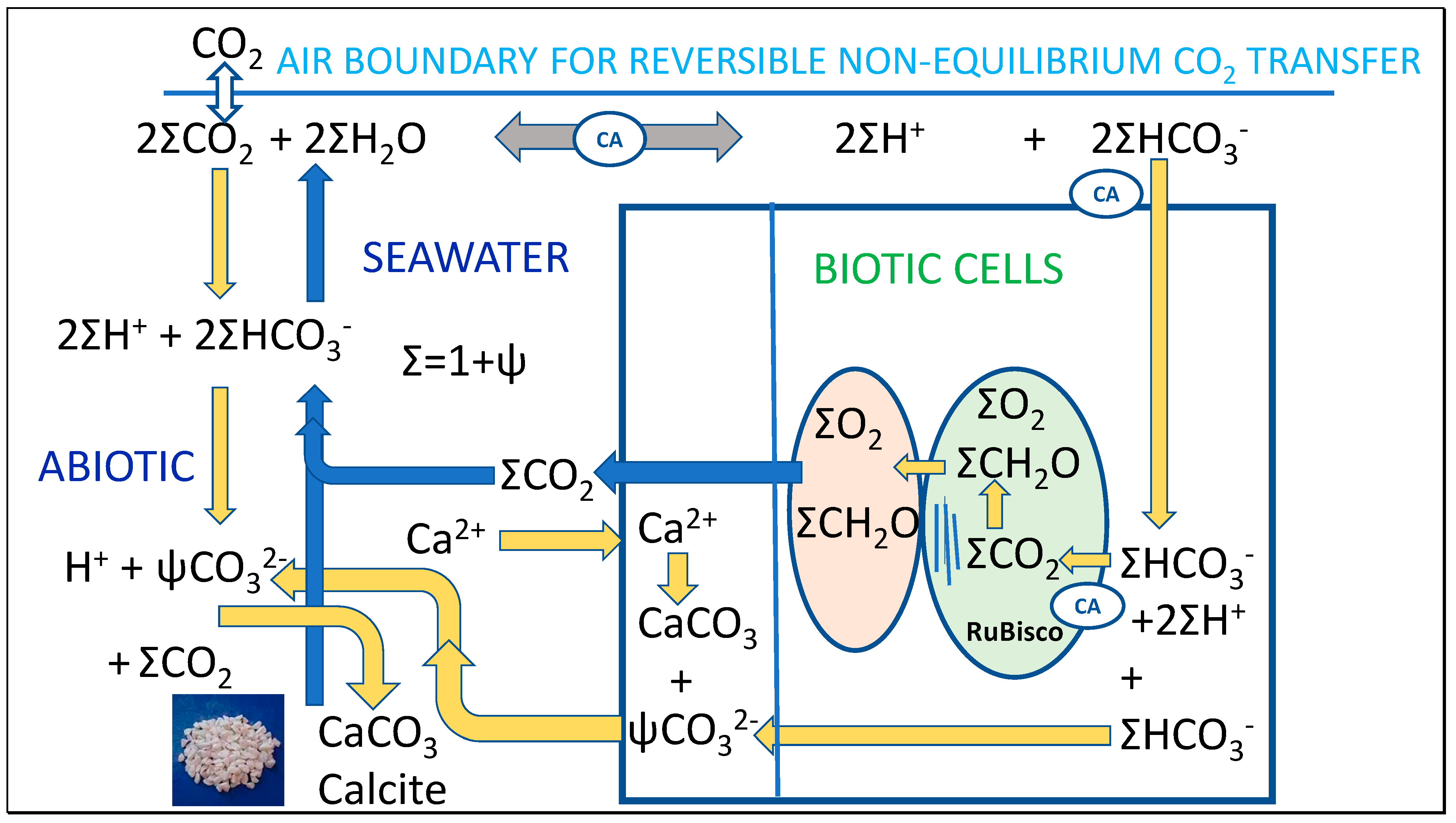 Thermo 02 00028 g009