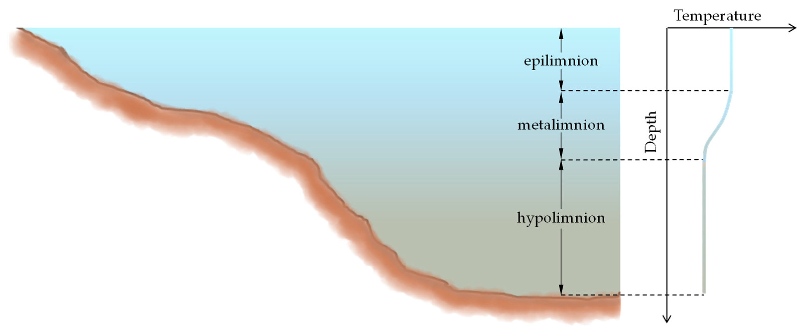 Thermo 03 00036 g008